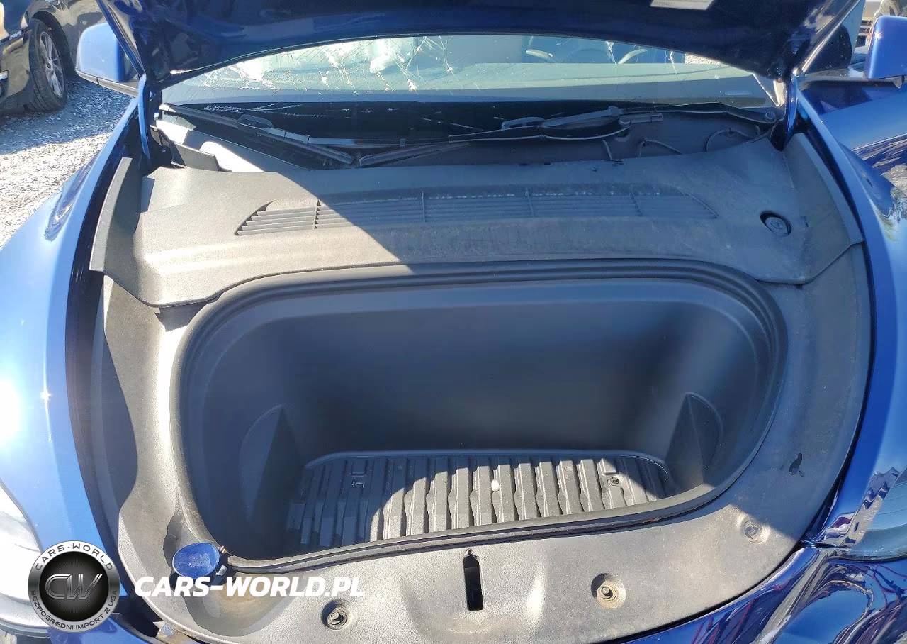 2024 Tesla Model Y VIN:7SAYGDED9RF169081 - 12