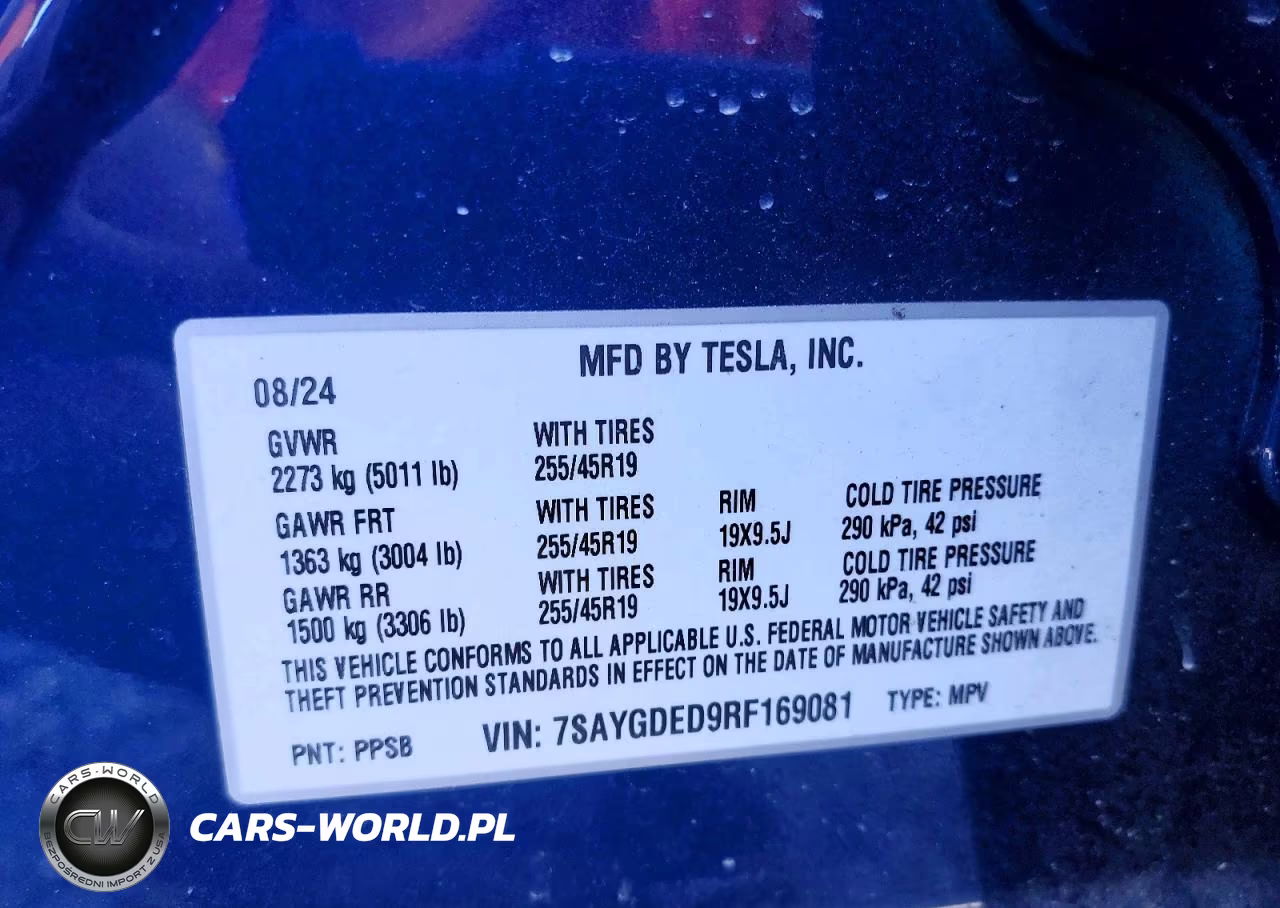 2024 Tesla Model Y VIN:7SAYGDED9RF169081 - 13