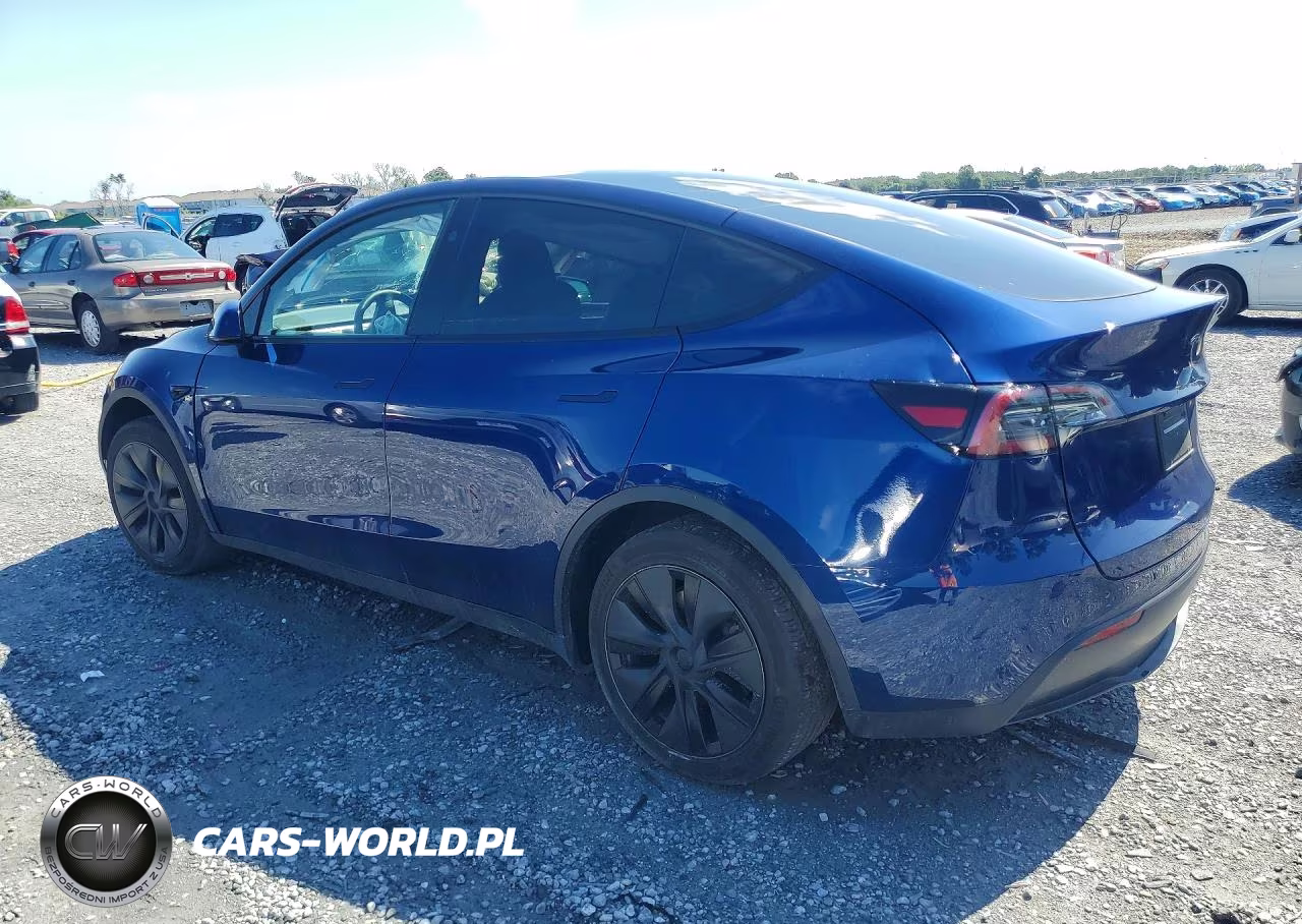 2024 Tesla Model Y VIN:7SAYGDED9RF169081 - 2