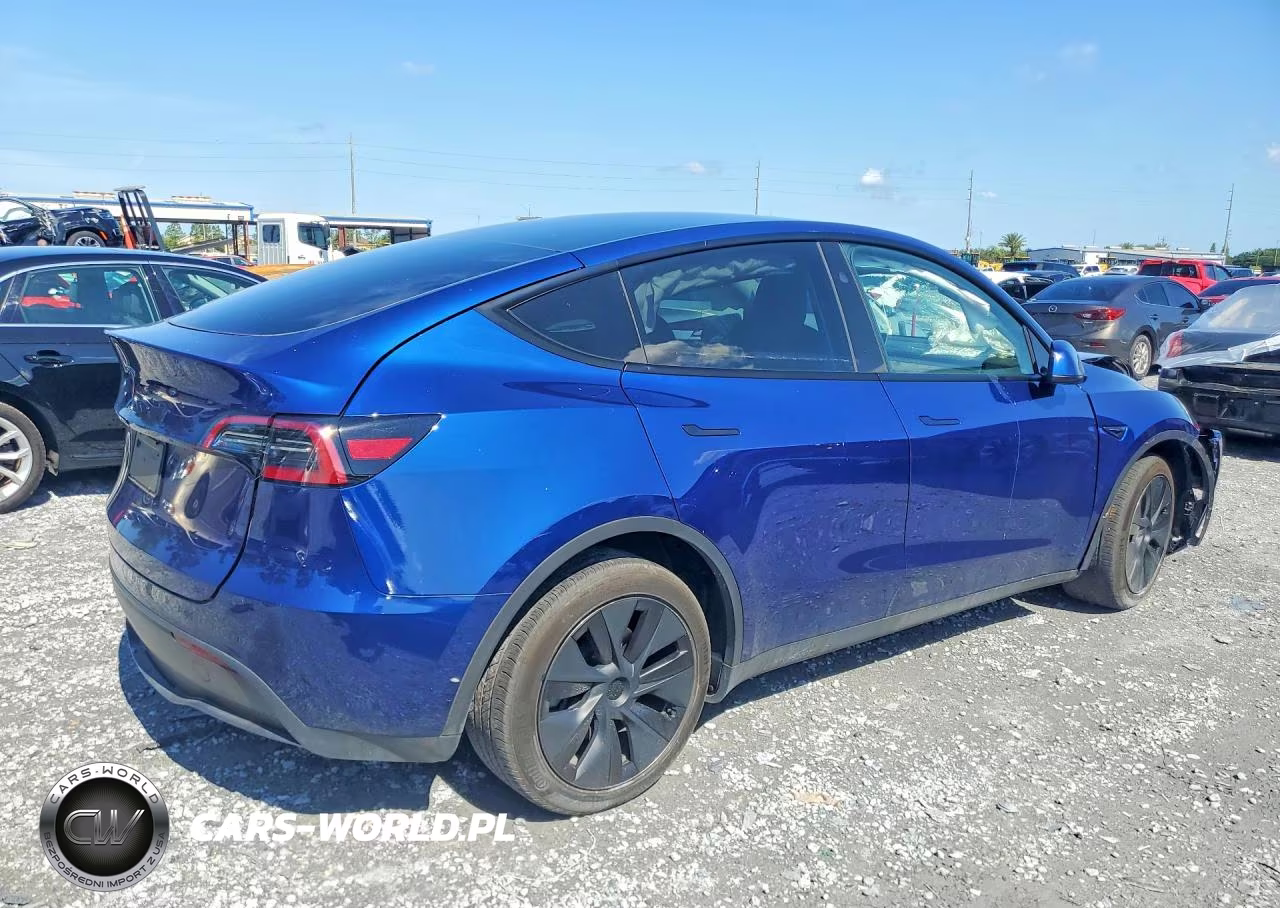 2024 Tesla Model Y VIN:7SAYGDED9RF169081 - 3