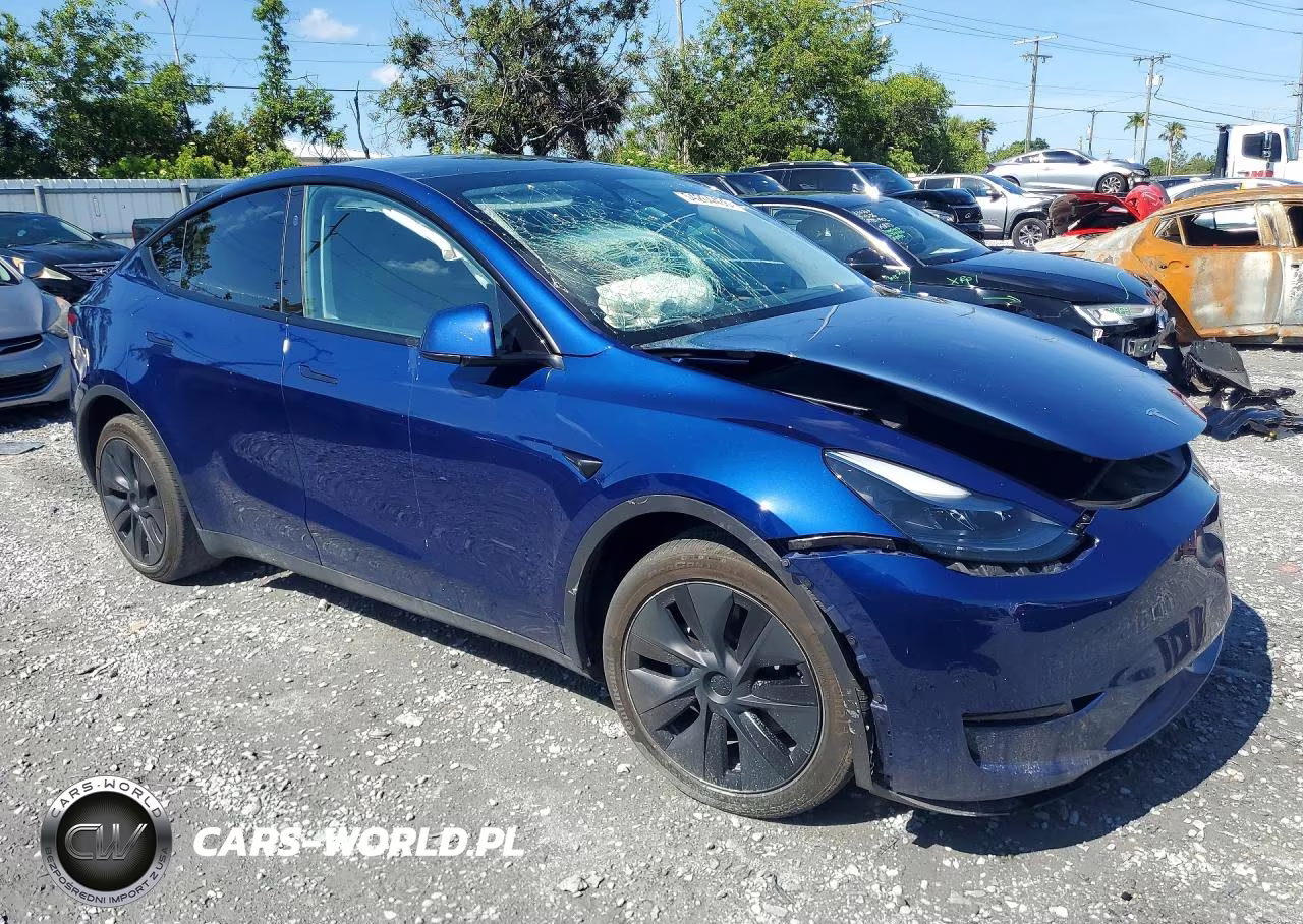 2024 Tesla Model Y VIN:7SAYGDED9RF169081 - 4