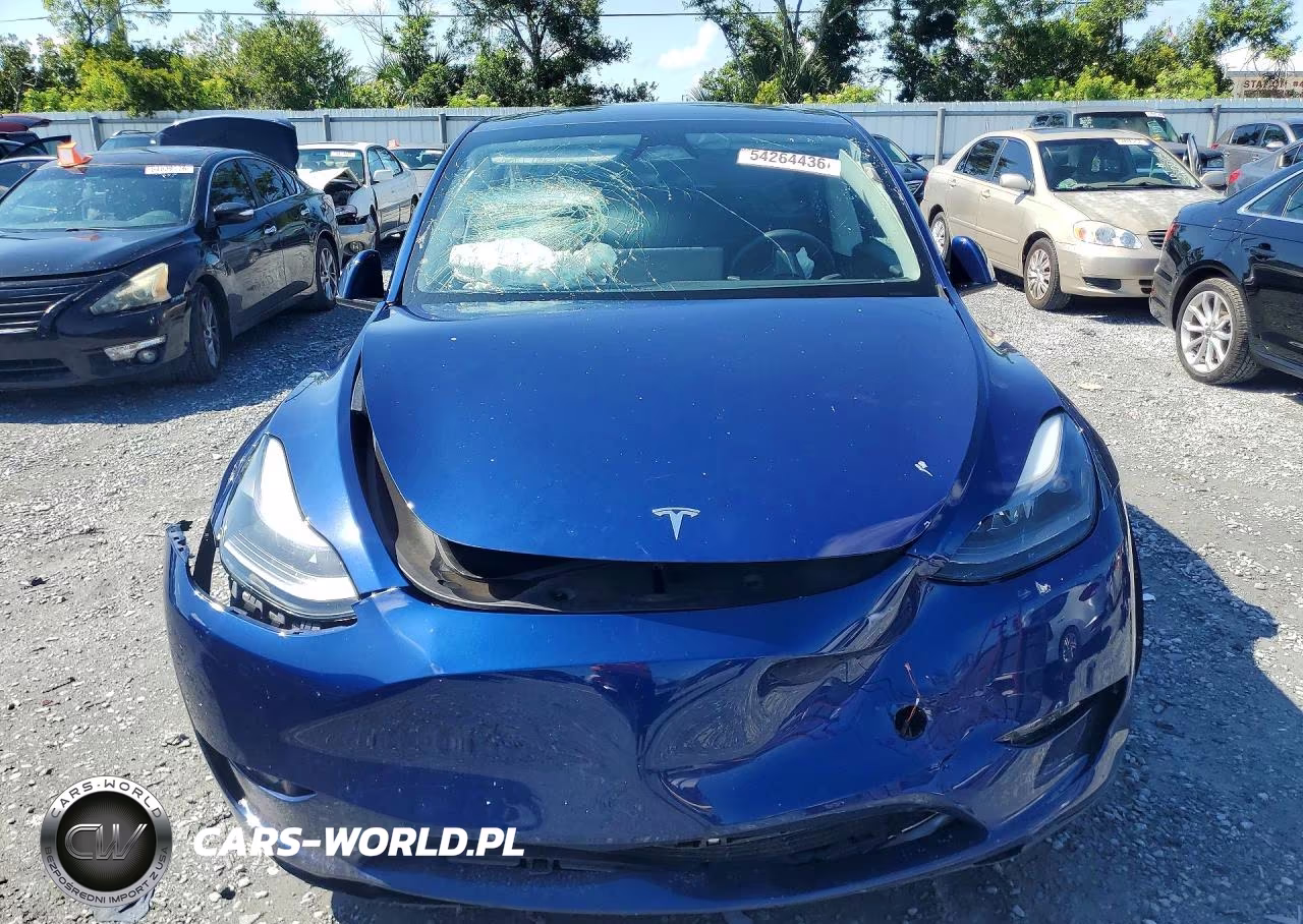 2024 Tesla Model Y VIN:7SAYGDED9RF169081 - 5