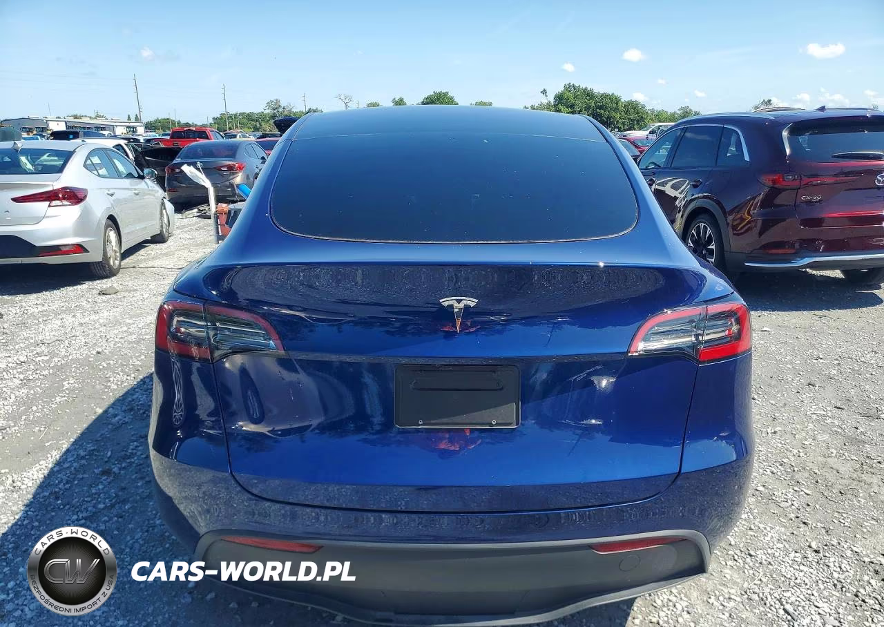 2024 Tesla Model Y VIN:7SAYGDED9RF169081 - 6