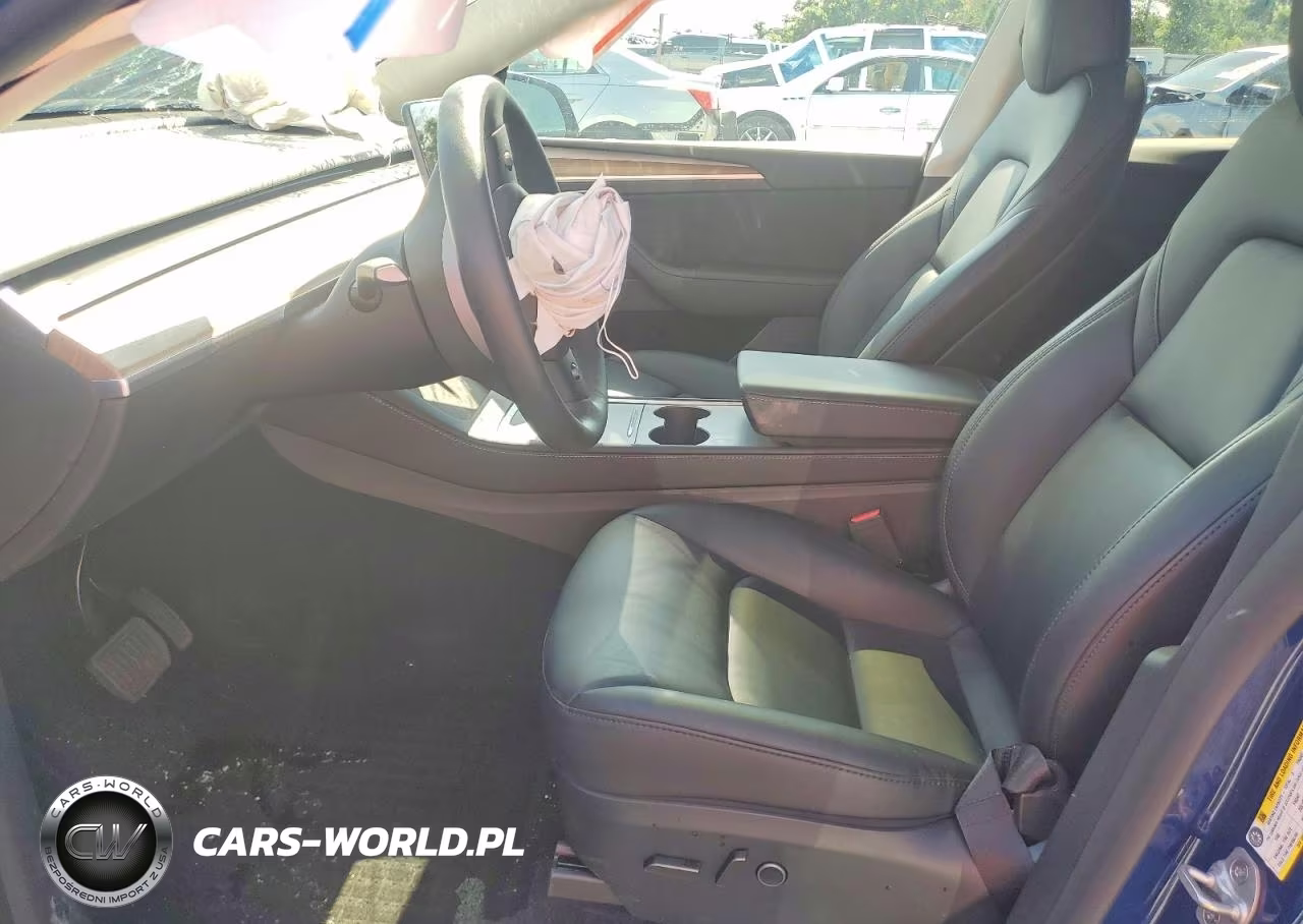 2024 Tesla Model Y VIN:7SAYGDED9RF169081 - 7