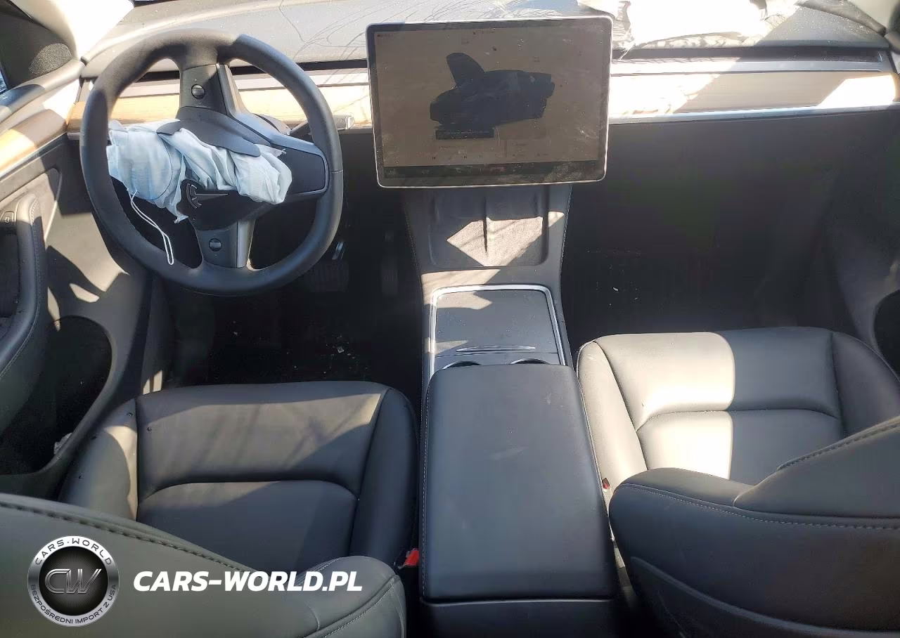 2024 Tesla Model Y VIN:7SAYGDED9RF169081 - 8
