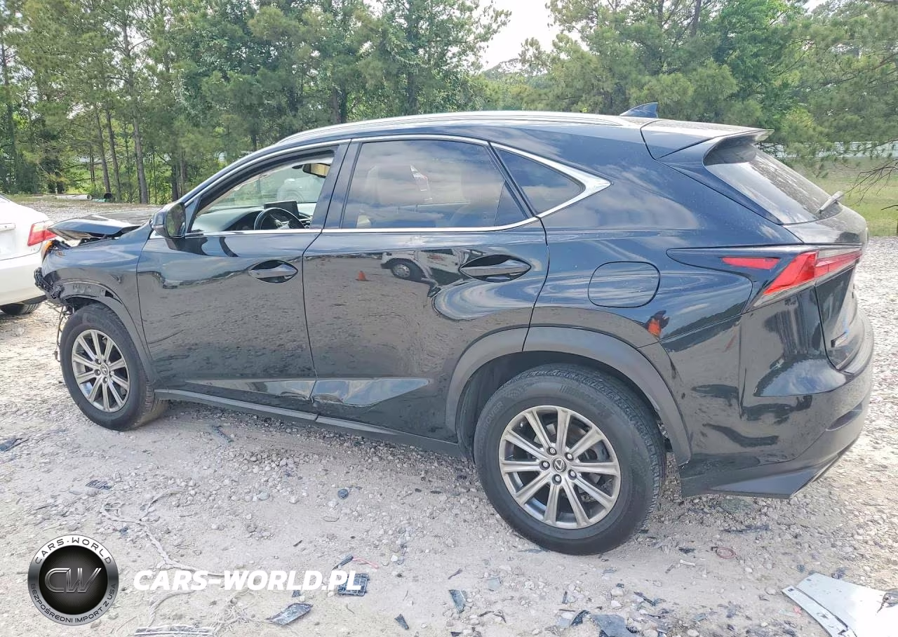 2018 Lexus Nx 300 Base VIN:JTJYARBZ1J2090164 - 2
