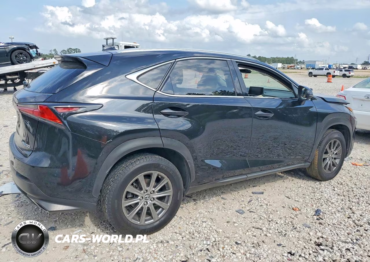 2018 Lexus Nx 300 Base VIN:JTJYARBZ1J2090164 - 3
