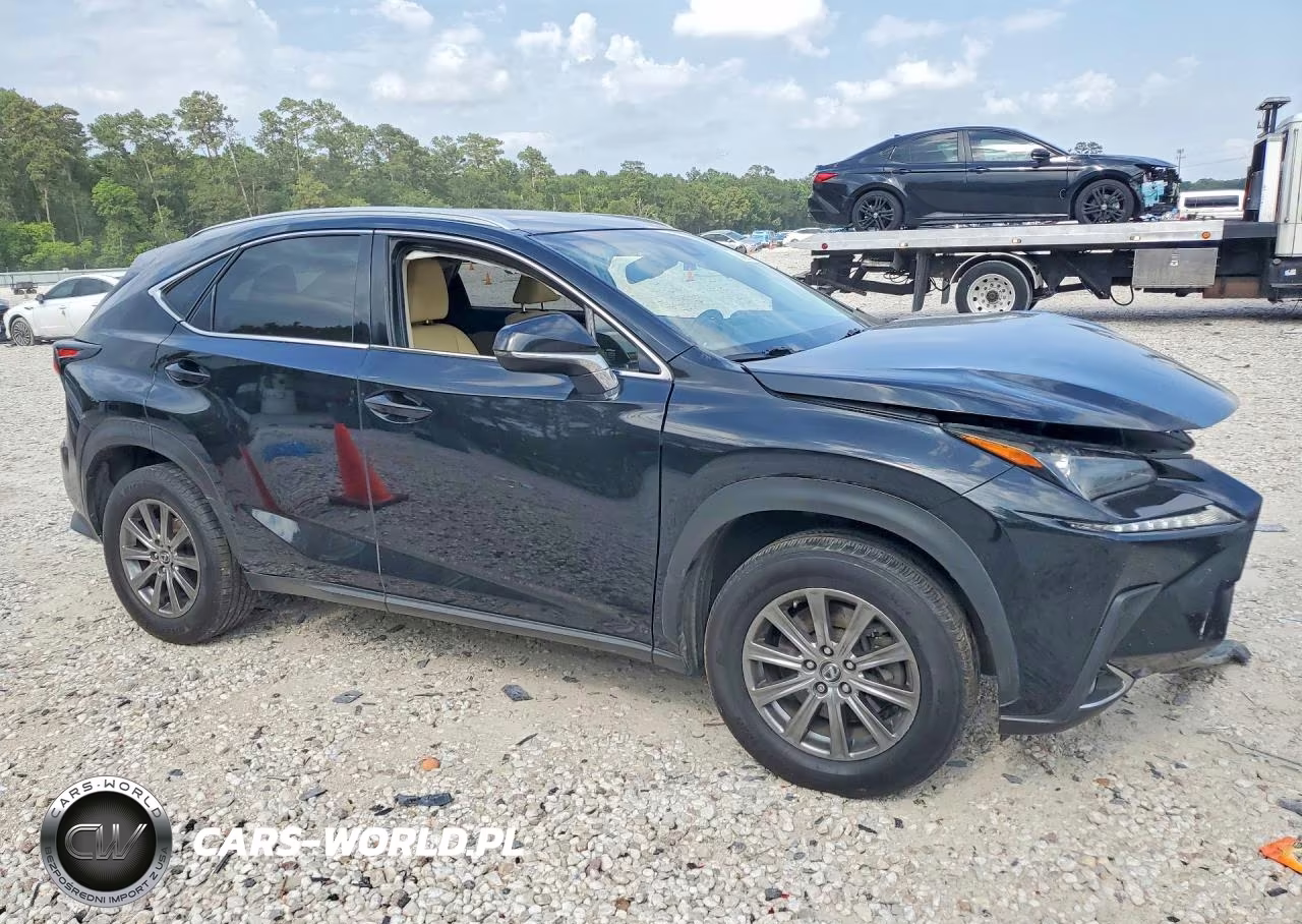 2018 Lexus Nx 300 Base VIN:JTJYARBZ1J2090164 - 4