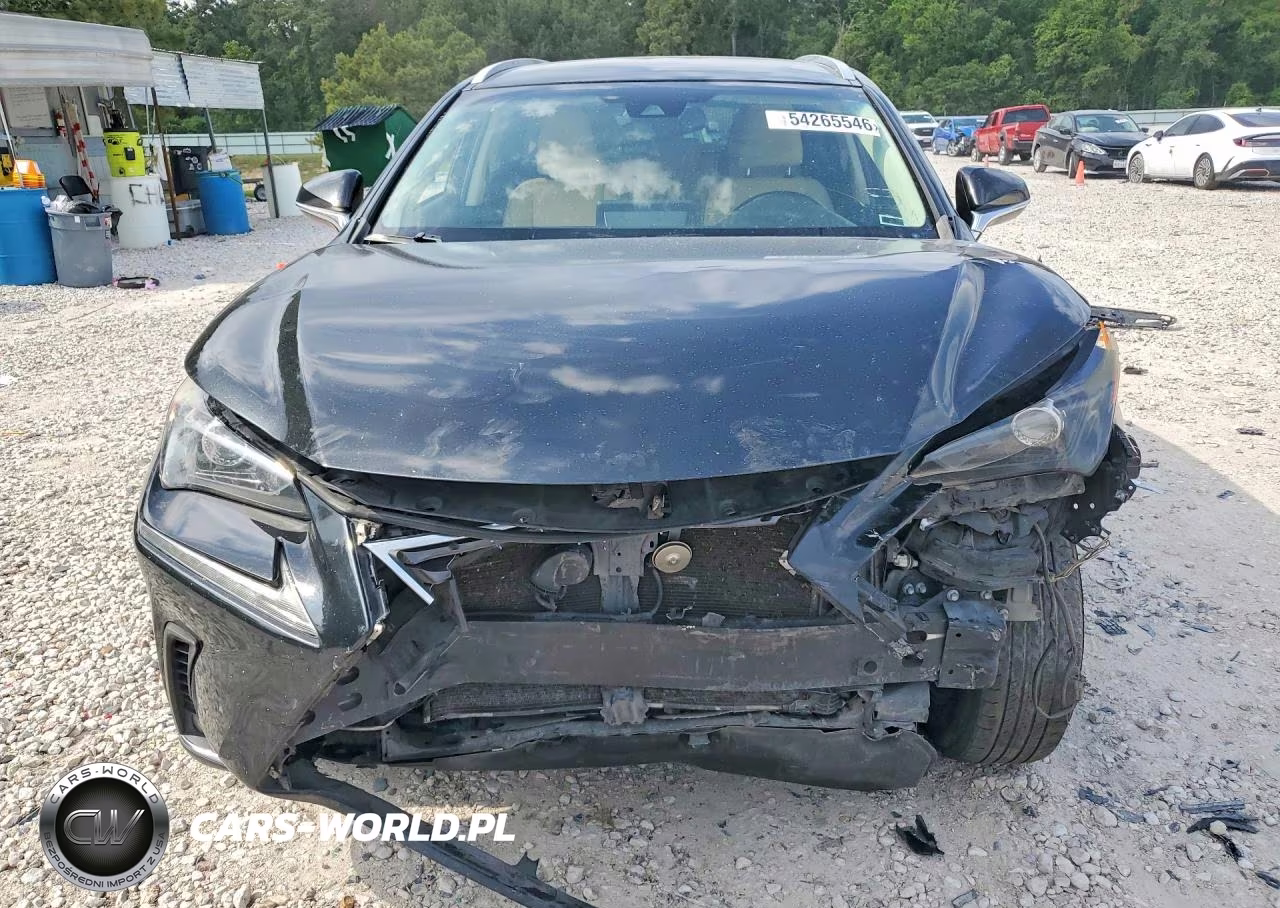 2018 Lexus Nx 300 Base VIN:JTJYARBZ1J2090164 - 5