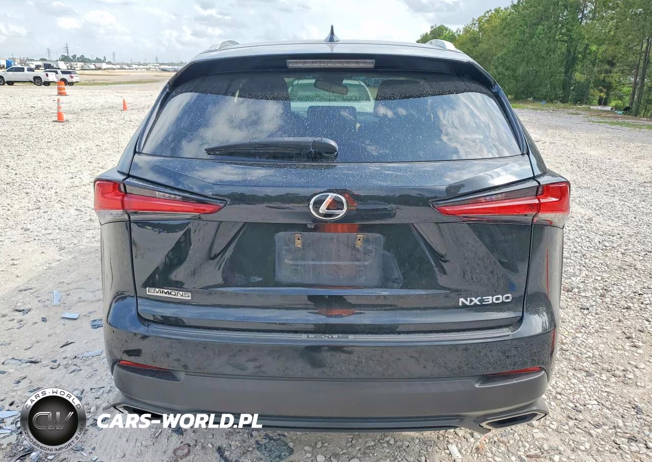 2018 Lexus Nx 300 Base VIN:JTJYARBZ1J2090164 - 6