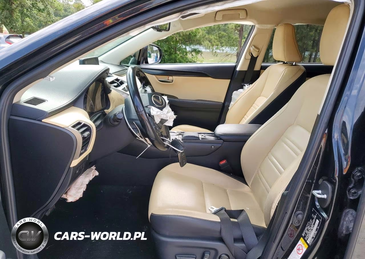 2018 Lexus Nx 300 Base VIN:JTJYARBZ1J2090164 - 7