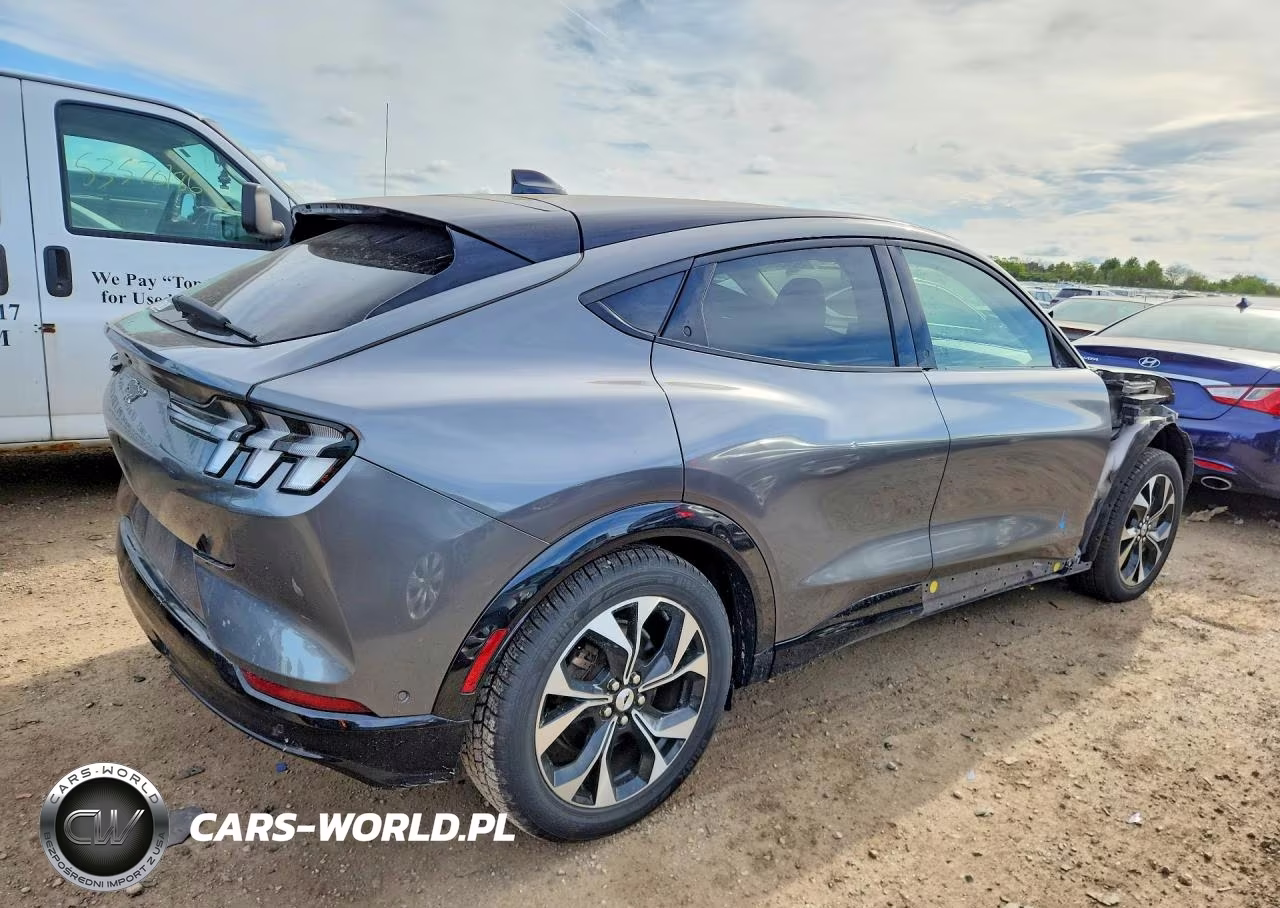 2023 Ford Mustang Mach-E Premium VIN:3FMTK3SS7PMA06324 - 3
