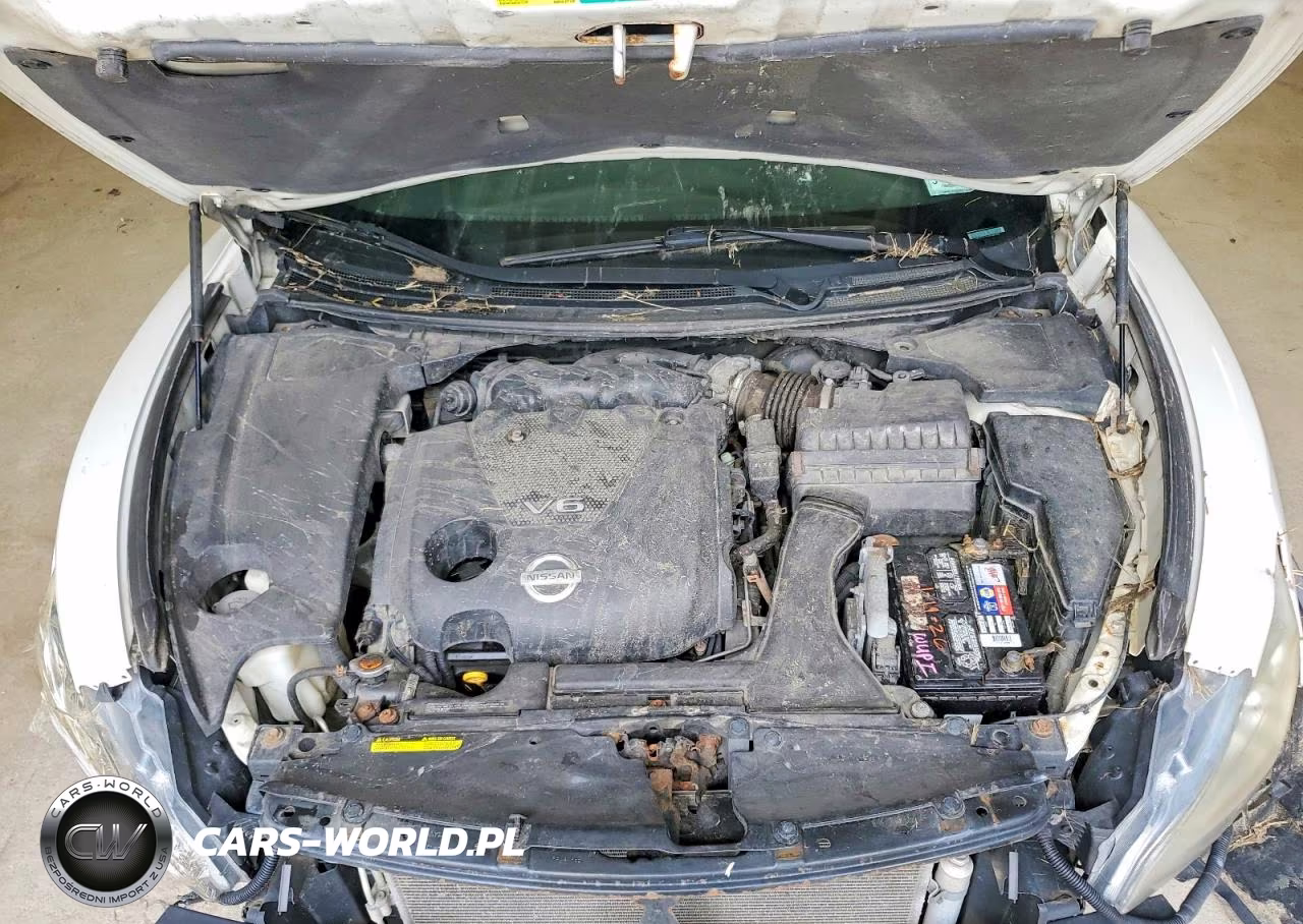 2009 Nissan Maxima 3.5 S VIN:1N4AA51E49C860428 - 11