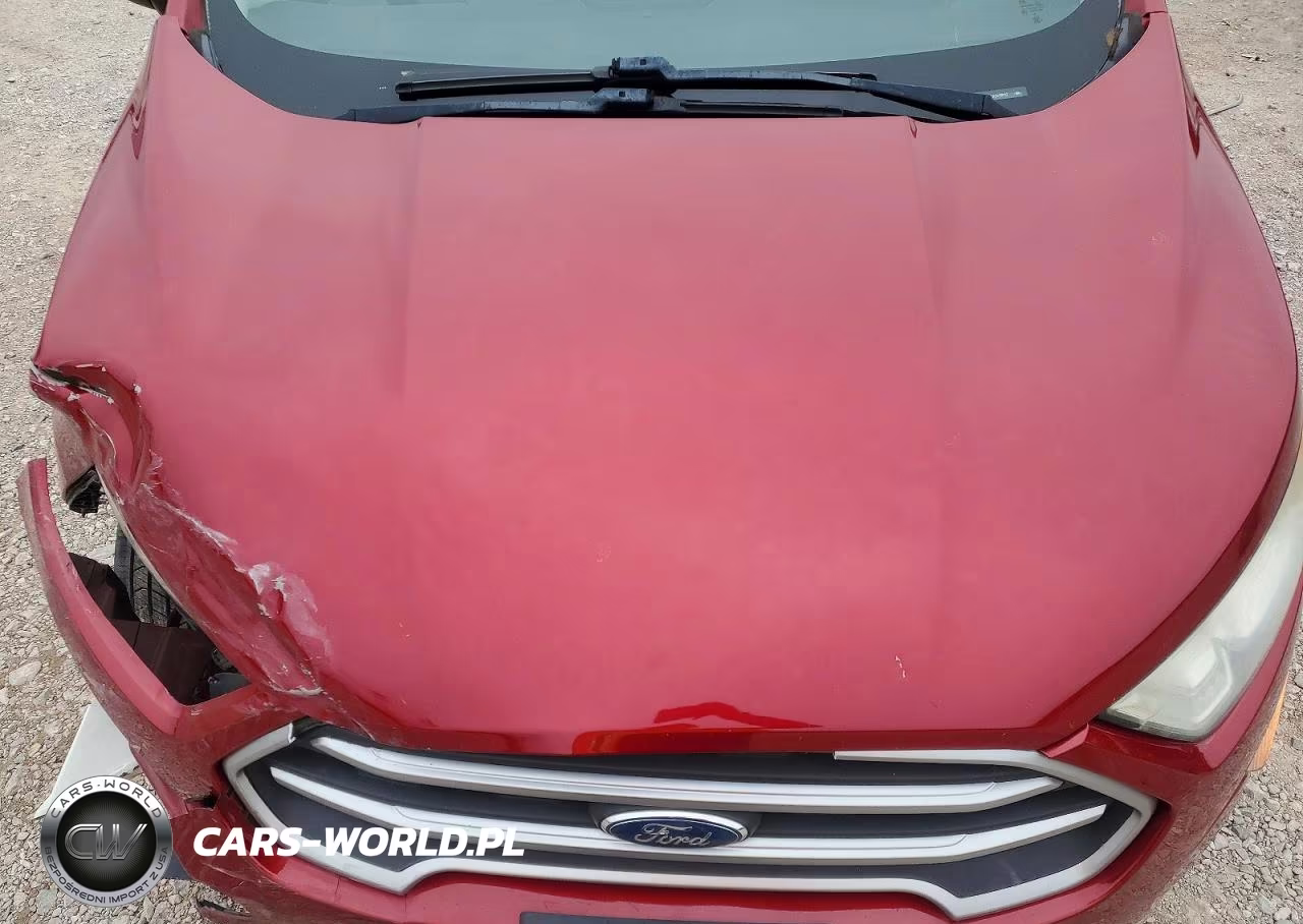2018 Ford Ecosport Se VIN:MAJ3P1TE1JC215012 - 12