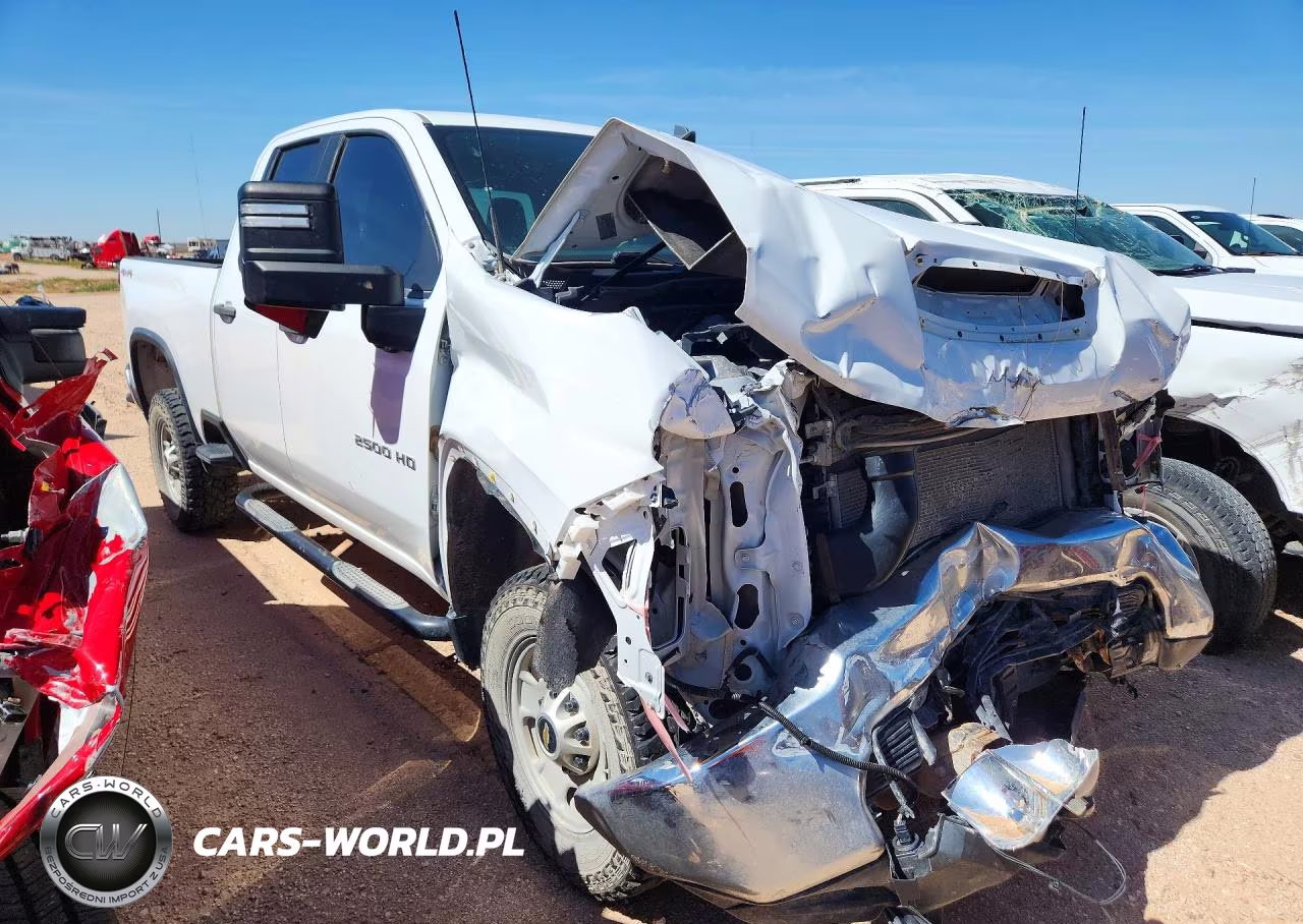 2022 Chevrolet Silverado K2500 Heavy Duty VIN:1GC2YLE78NF295605 - 4