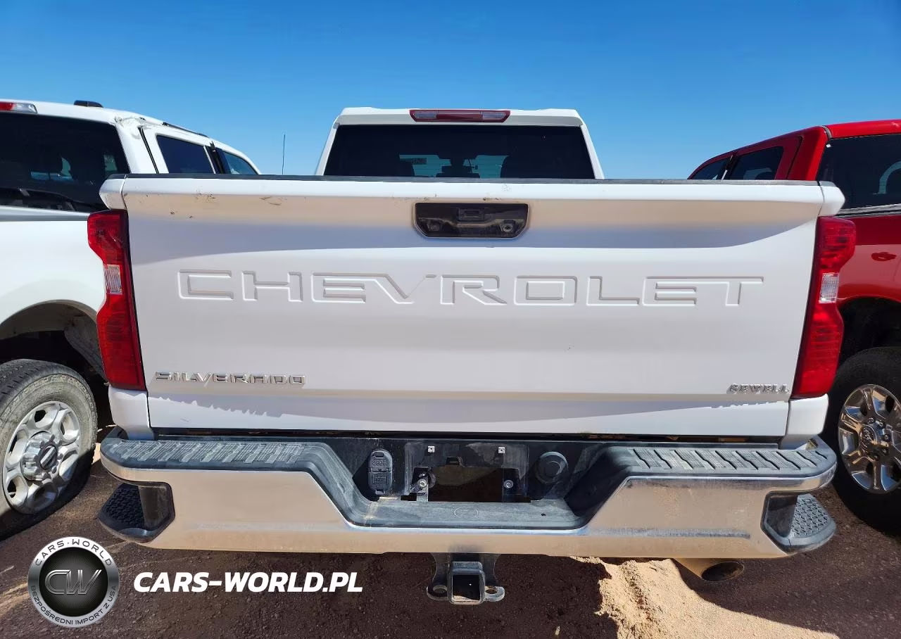 2022 Chevrolet Silverado K2500 Heavy Duty VIN:1GC2YLE78NF295605 - 6