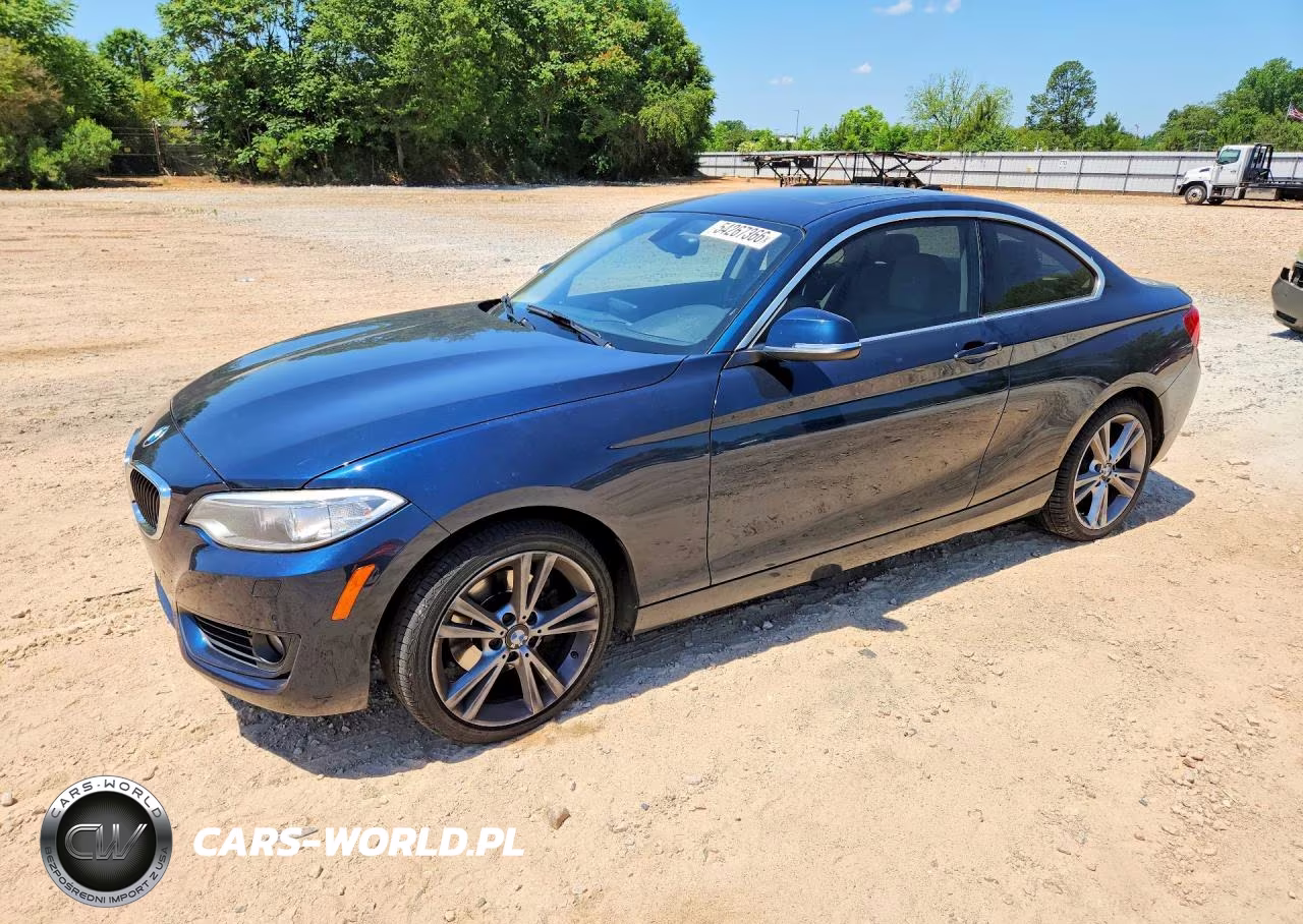 2015 BMW 228 Xi