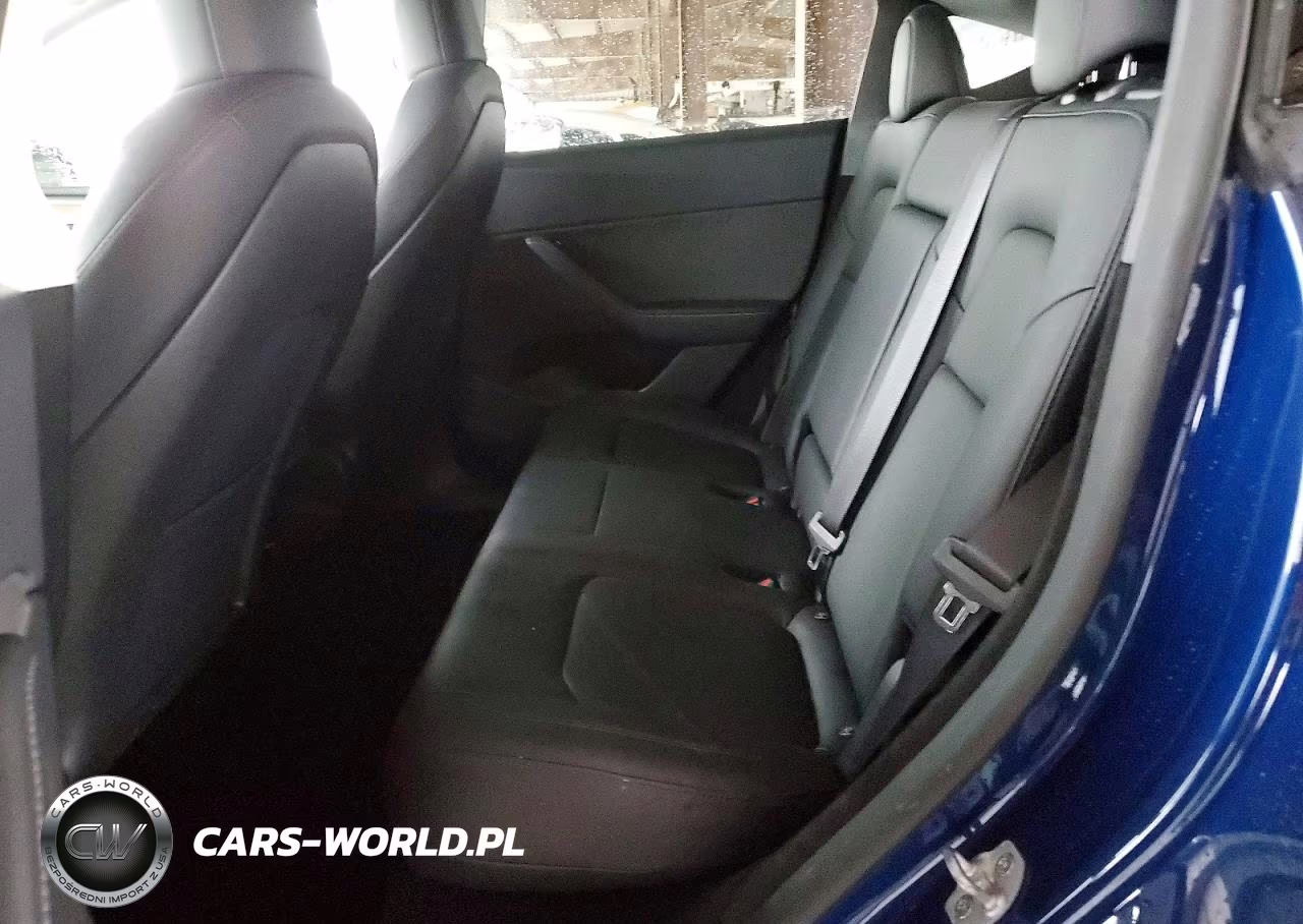 2024 Tesla Model Y VIN:7SAYGDEE9RA261992 - 11