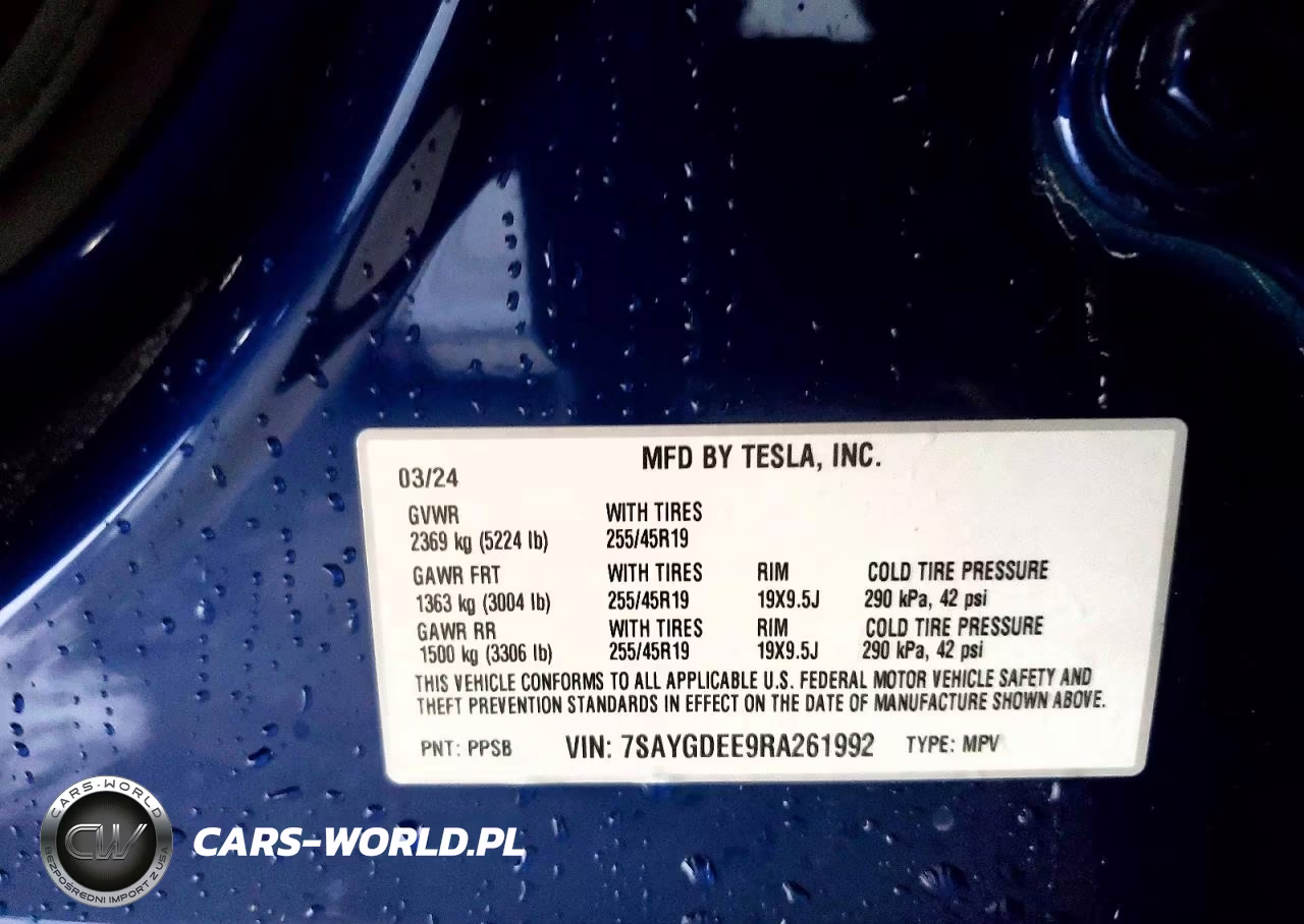 2024 Tesla Model Y VIN:7SAYGDEE9RA261992 - 13