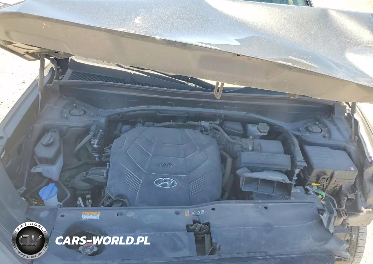 2024 Hyundai Palisade Sel Premium VIN:KM8R44GE3RU791517 - 12