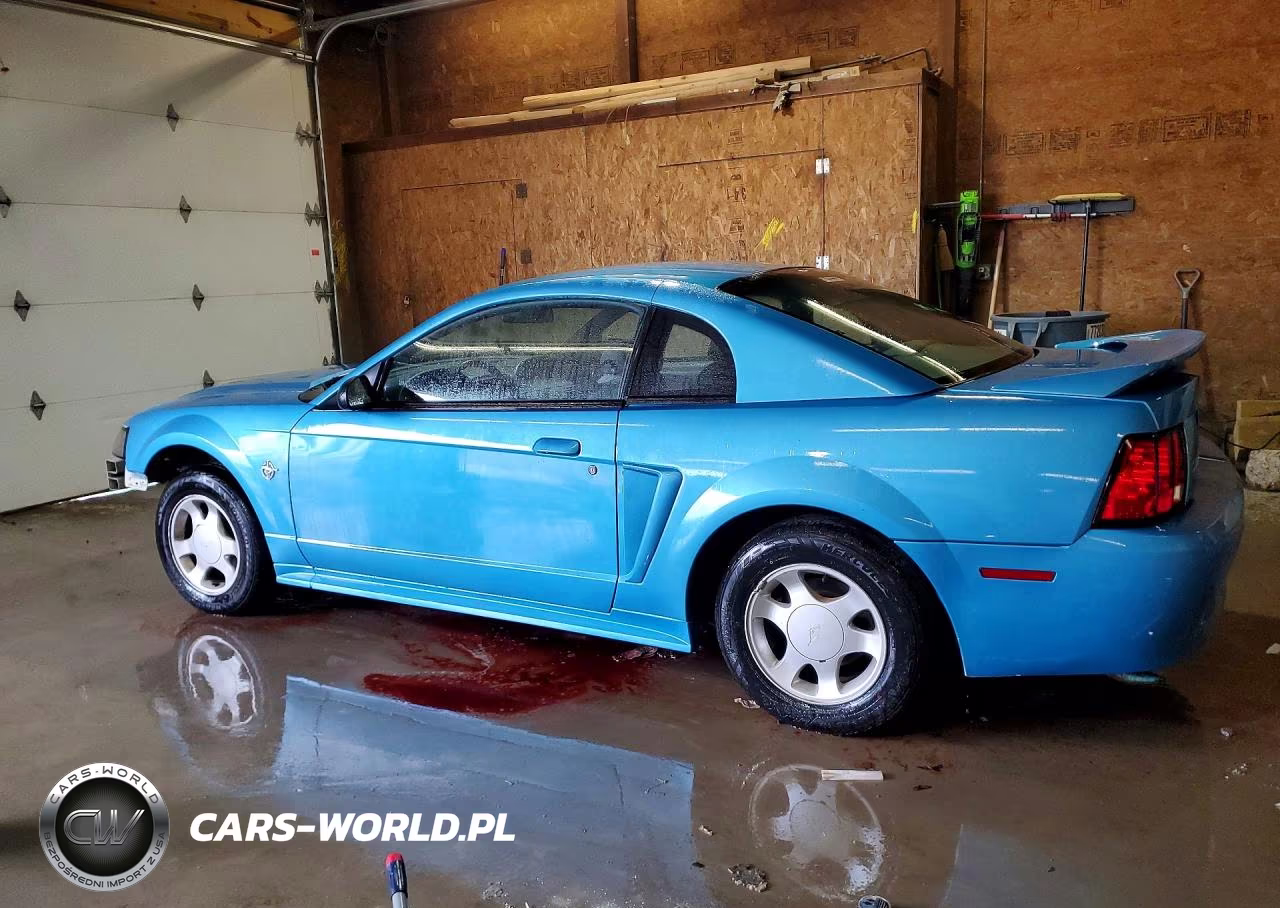 1999 Ford Mustang VIN:1FAFP4046XF126053 - 2