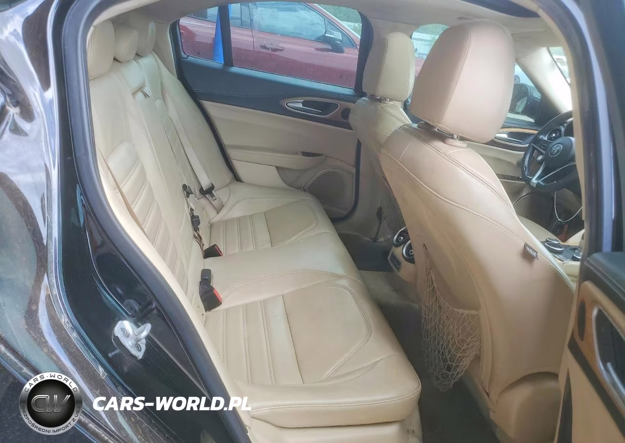2019 Alfa Romeo Giulia Ti VIN:ZARFAMBN3K7621594 - 10