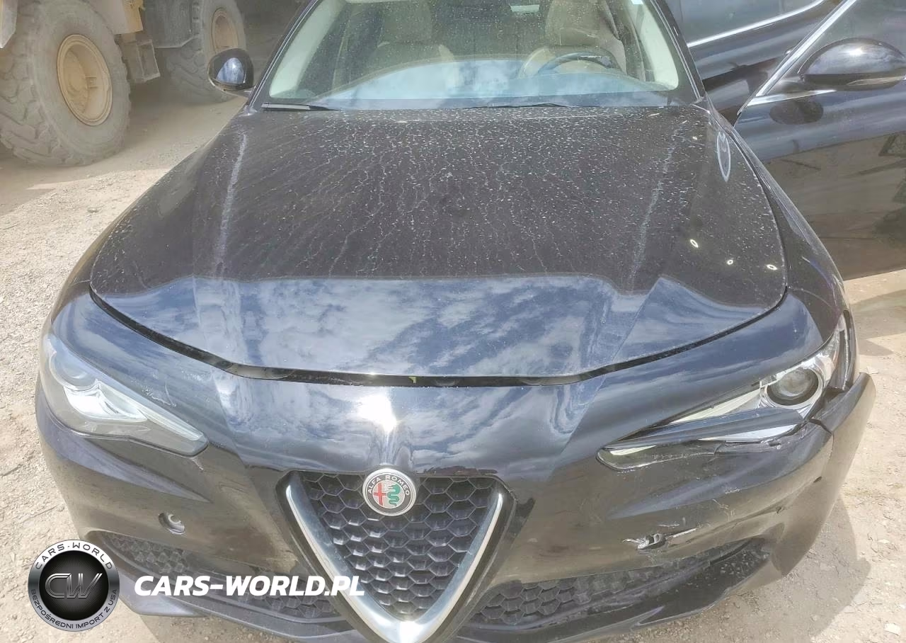 2019 Alfa Romeo Giulia Ti VIN:ZARFAMBN3K7621594 - 11