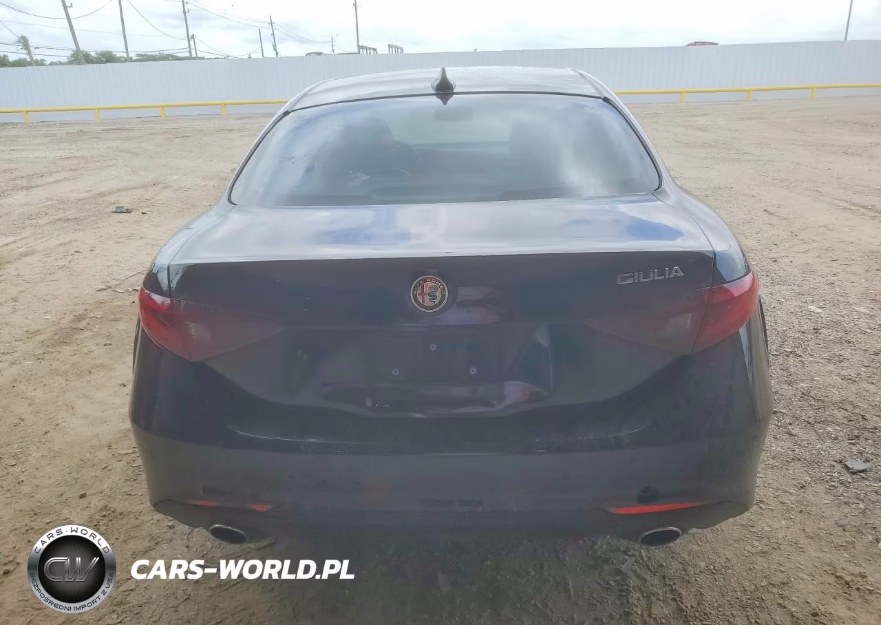2019 Alfa Romeo Giulia Ti VIN:ZARFAMBN3K7621594 - 6
