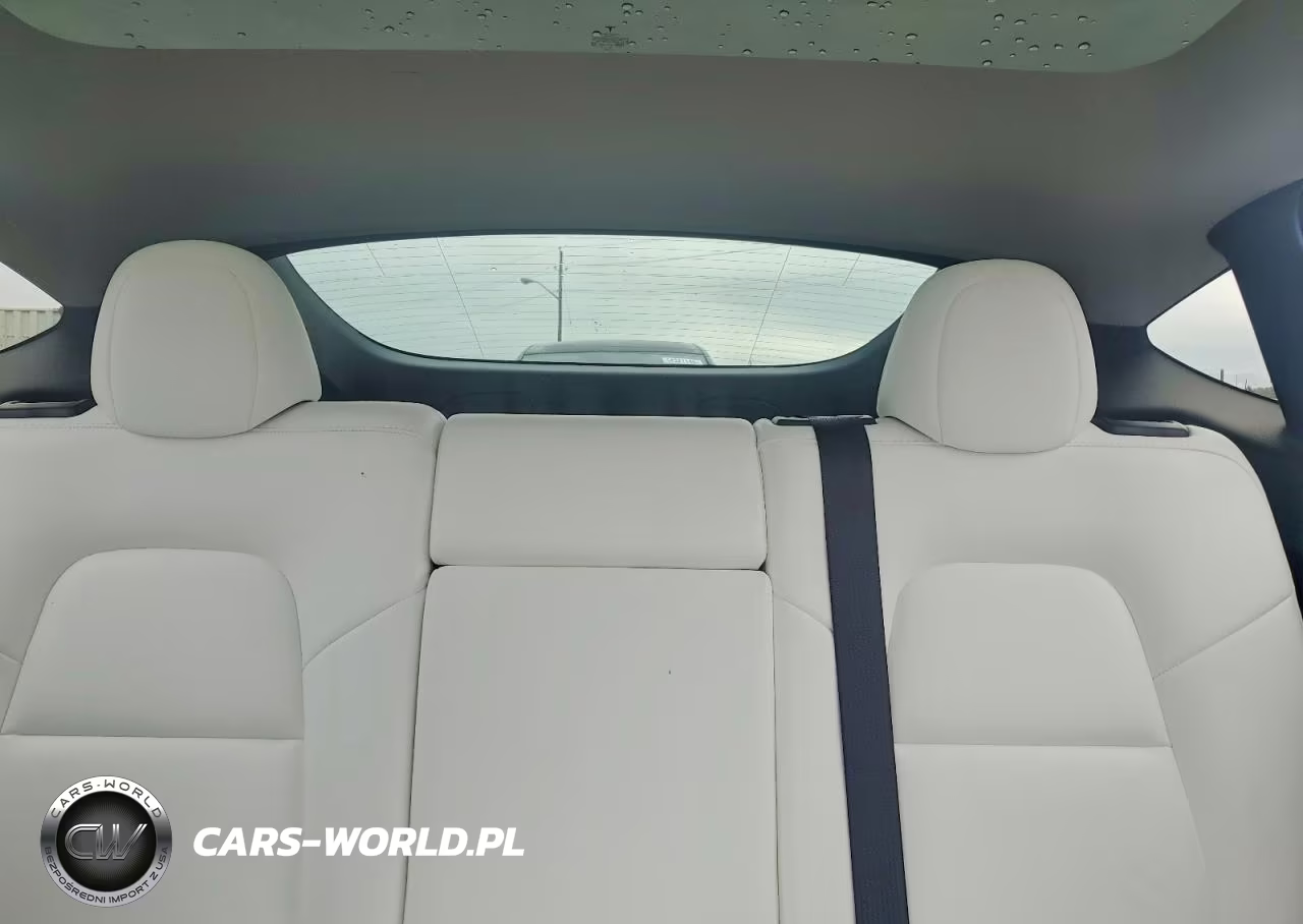 2023 Tesla Model Y VIN:7SAYGDEE9PA168046 - 10