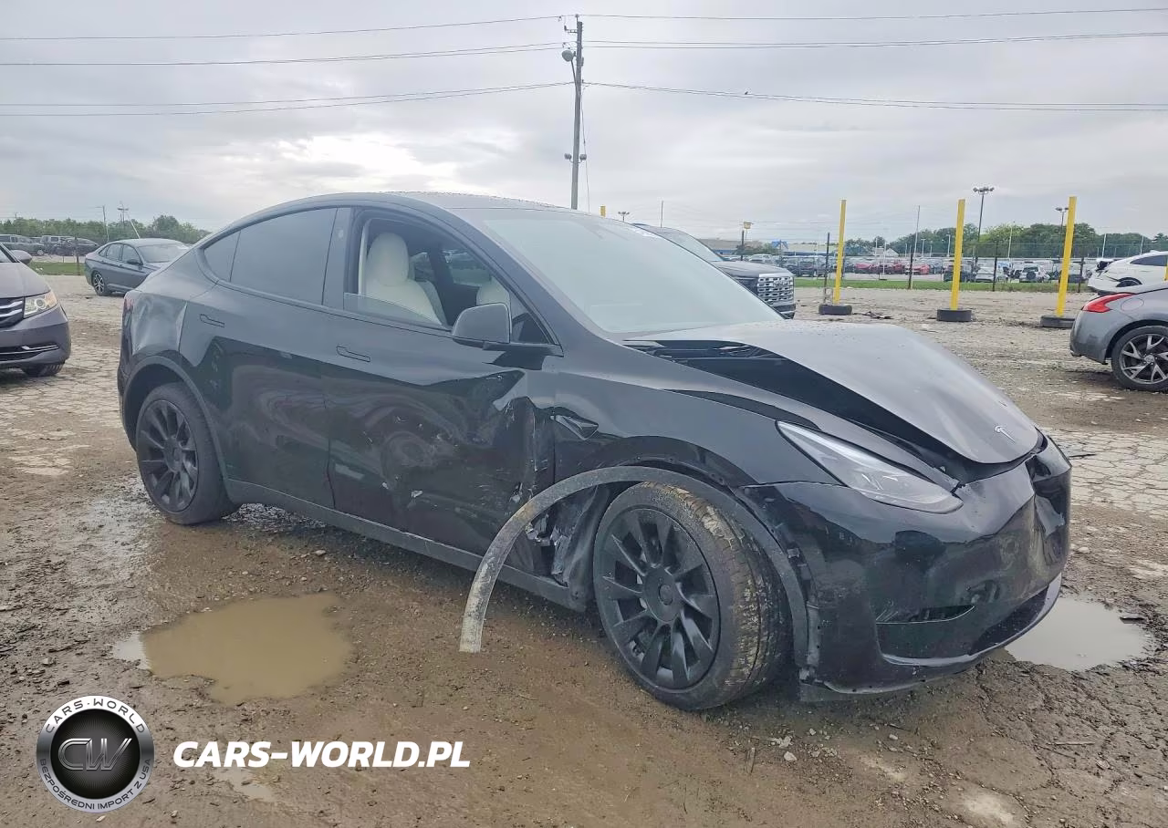 2023 Tesla Model Y VIN:7SAYGDEE9PA168046 - 4