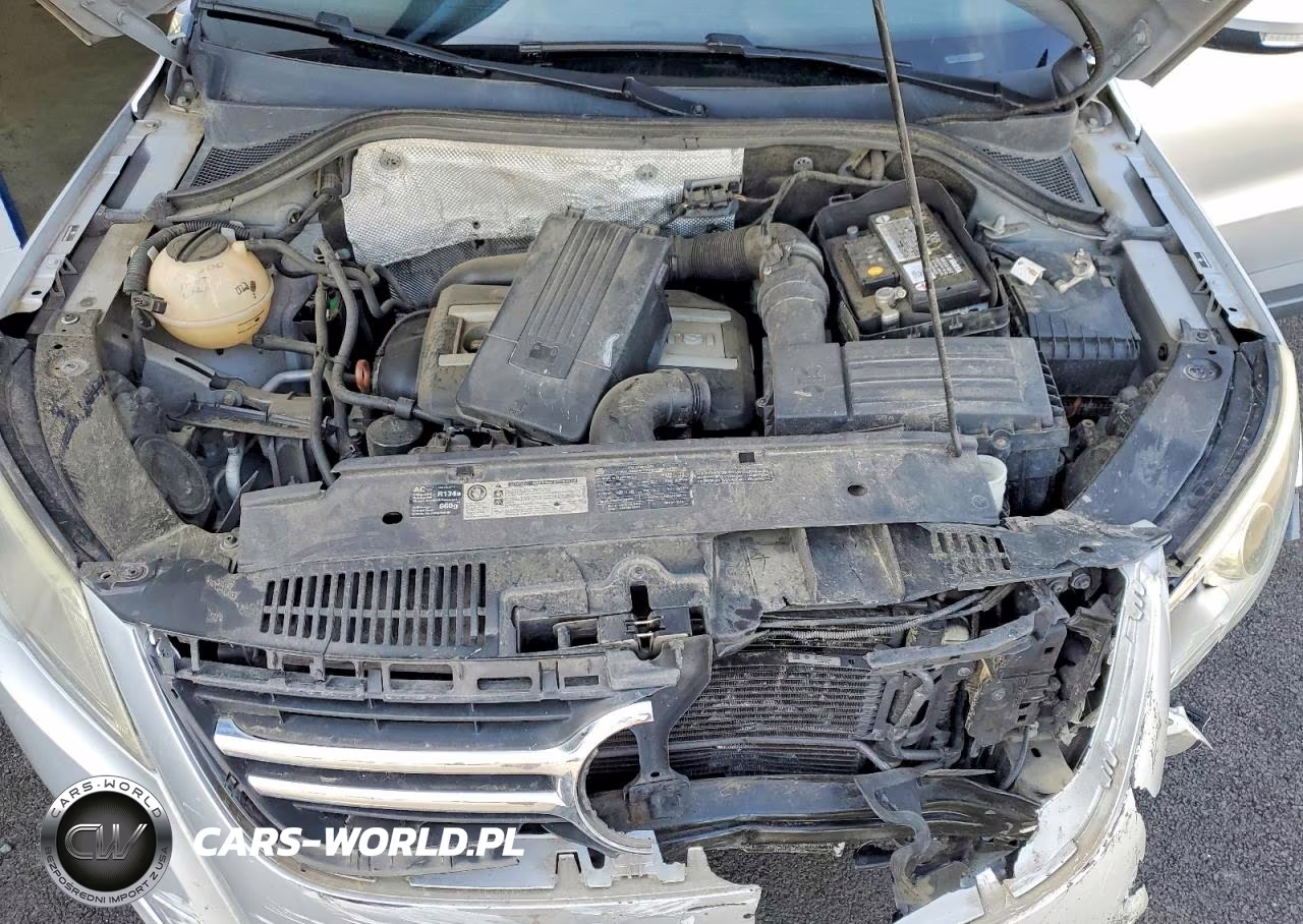 2010 Volkswagen Tiguan Se VIN:WVGBV7AXXAW529884 - 11