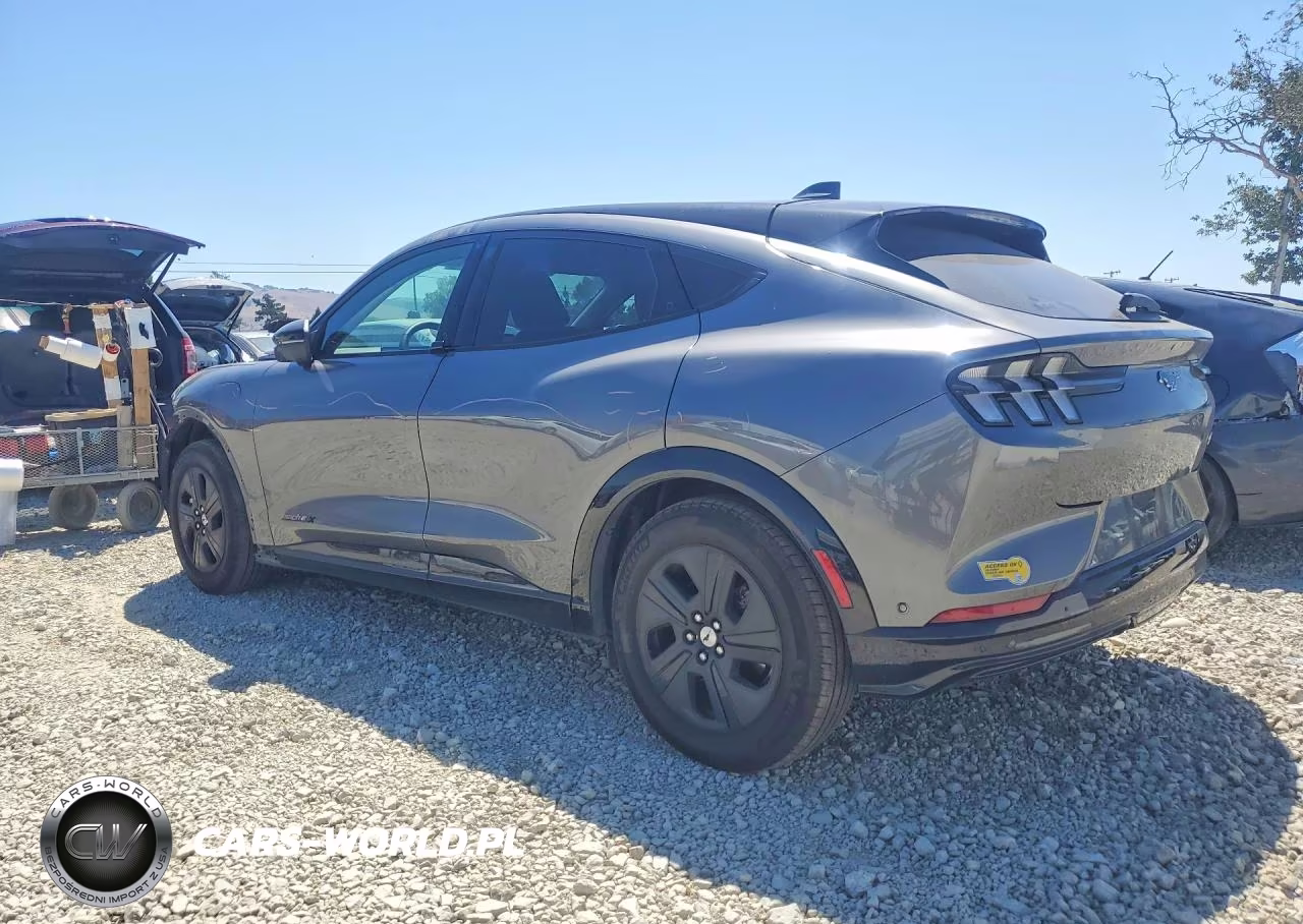 2021 Ford Mustang Mach-E California Route 1 VIN:3FMTK2R76MMA36048 - 2