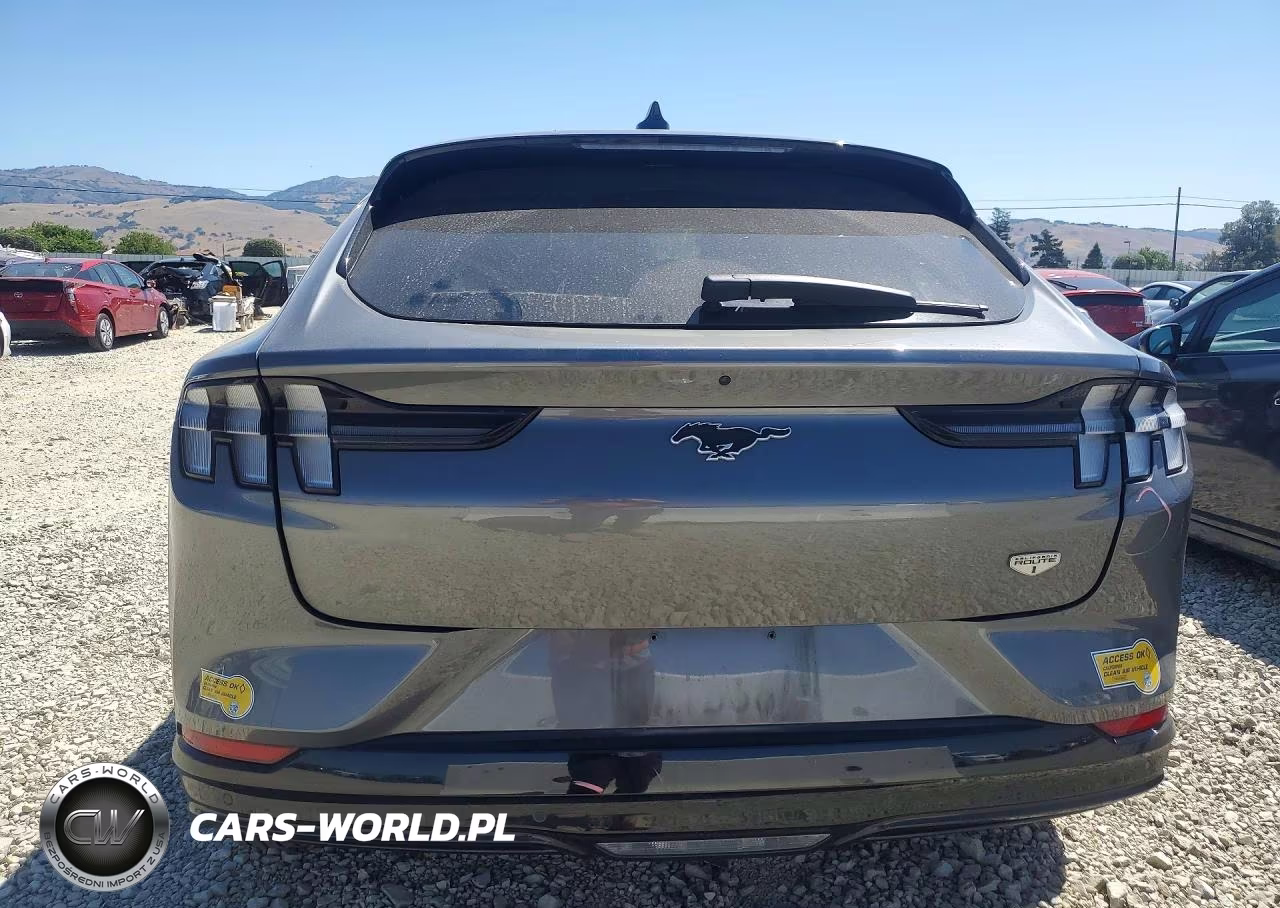 2021 Ford Mustang Mach-E California Route 1 VIN:3FMTK2R76MMA36048 - 6