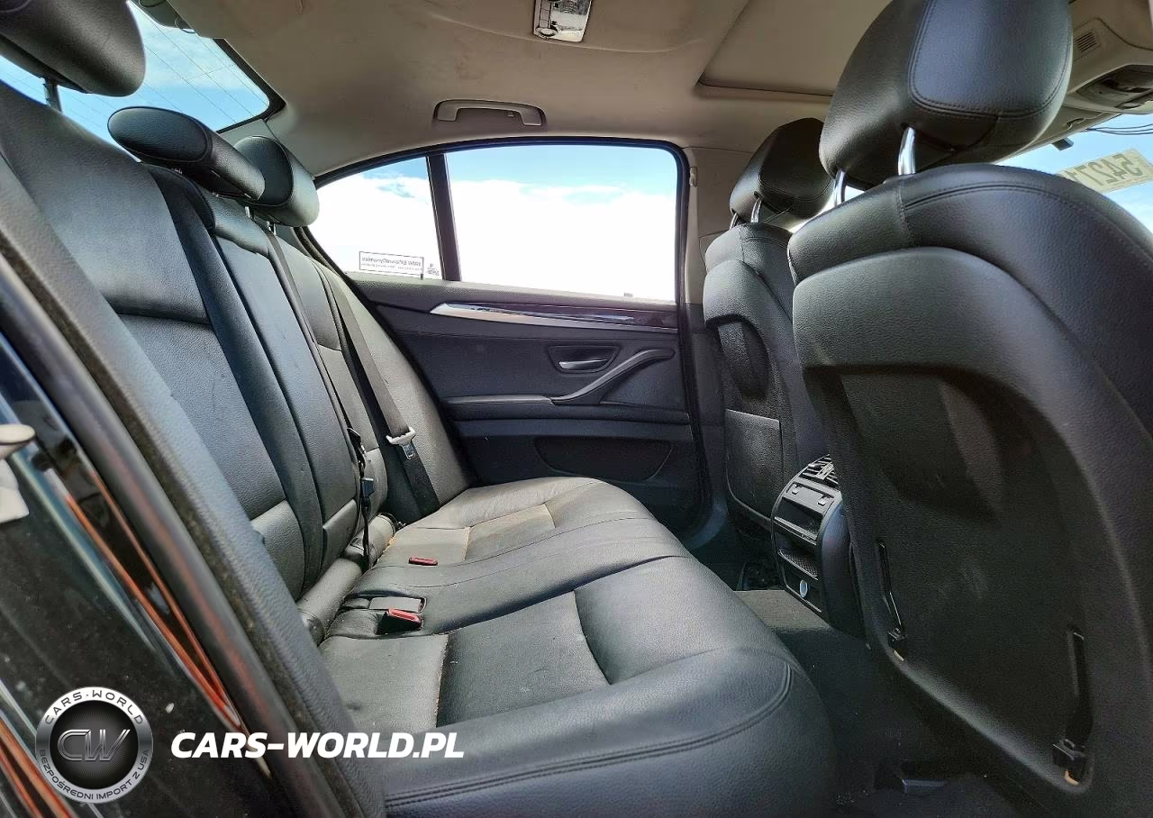 2015 BMW 528 Xi VIN:WBA5A7C51FD626156 - 10