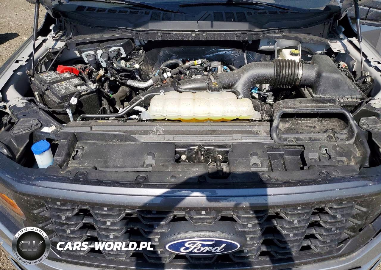 2025 Ford F150 Stx VIN:1FTEW2LP1SKD77419 - 11