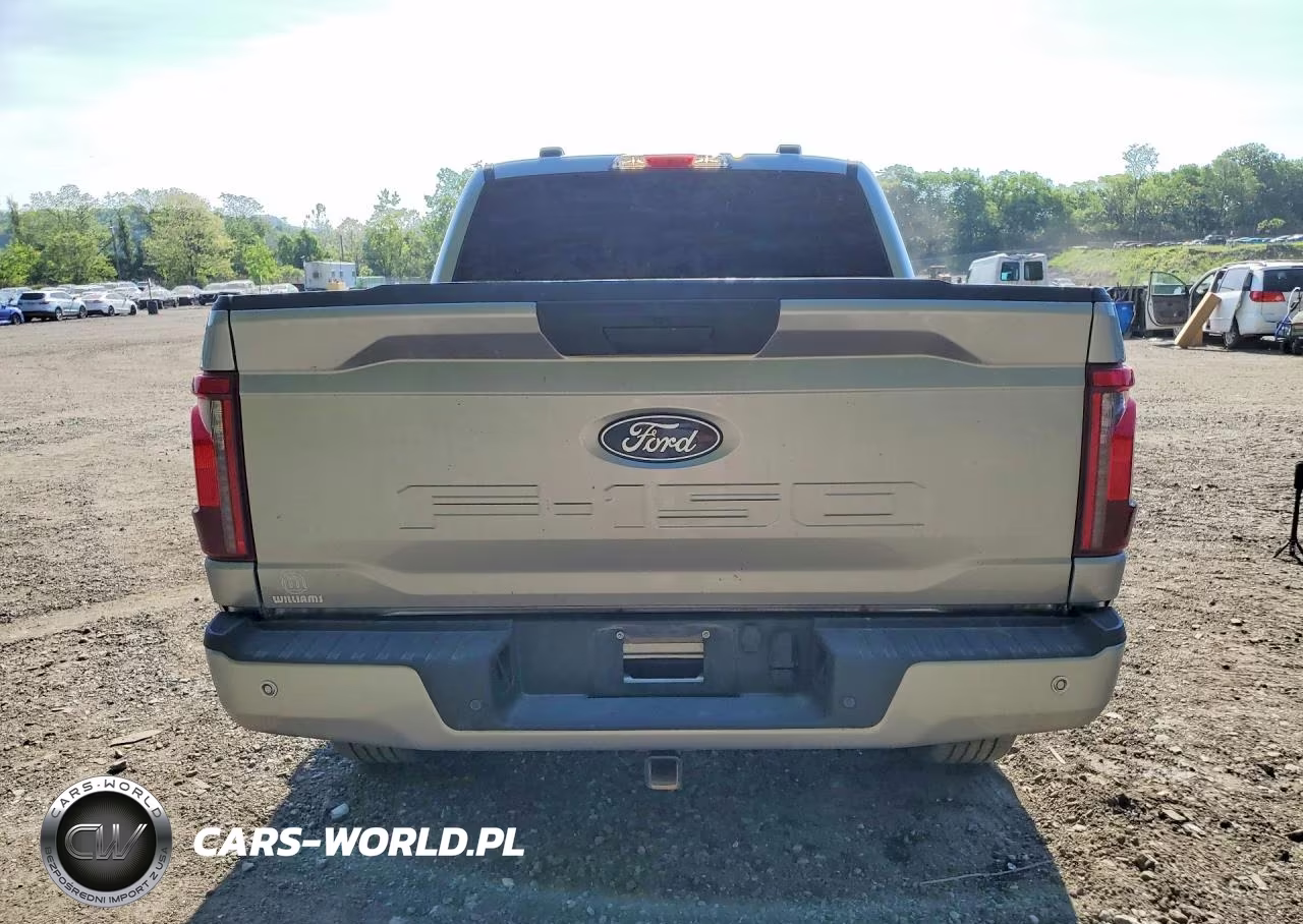 2025 Ford F150 Stx VIN:1FTEW2LP1SKD77419 - 6