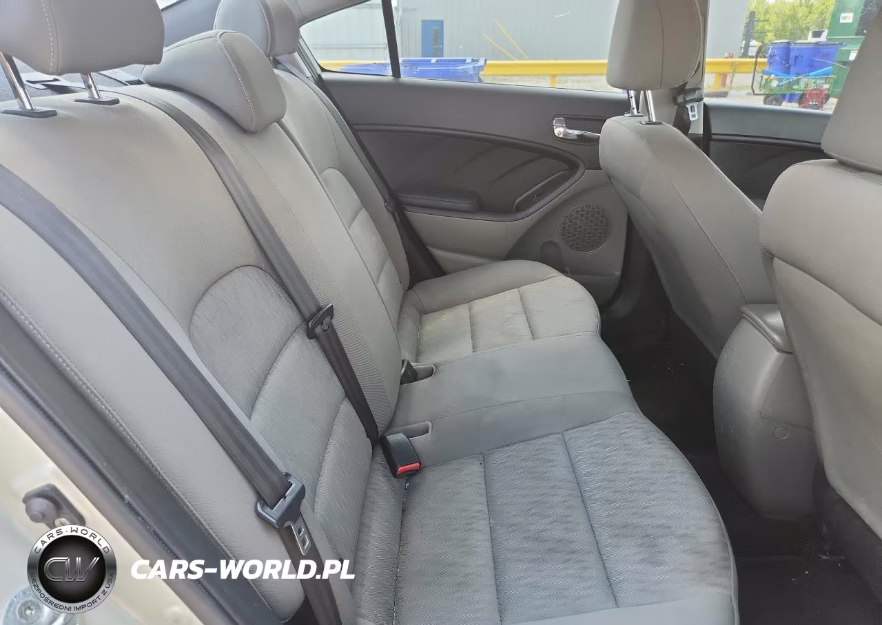 2015 Kia Forte Lx VIN:KNAFK4A61F5420986 - 10