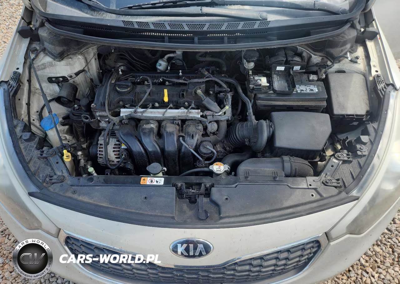 2015 Kia Forte Lx VIN:KNAFK4A61F5420986 - 11