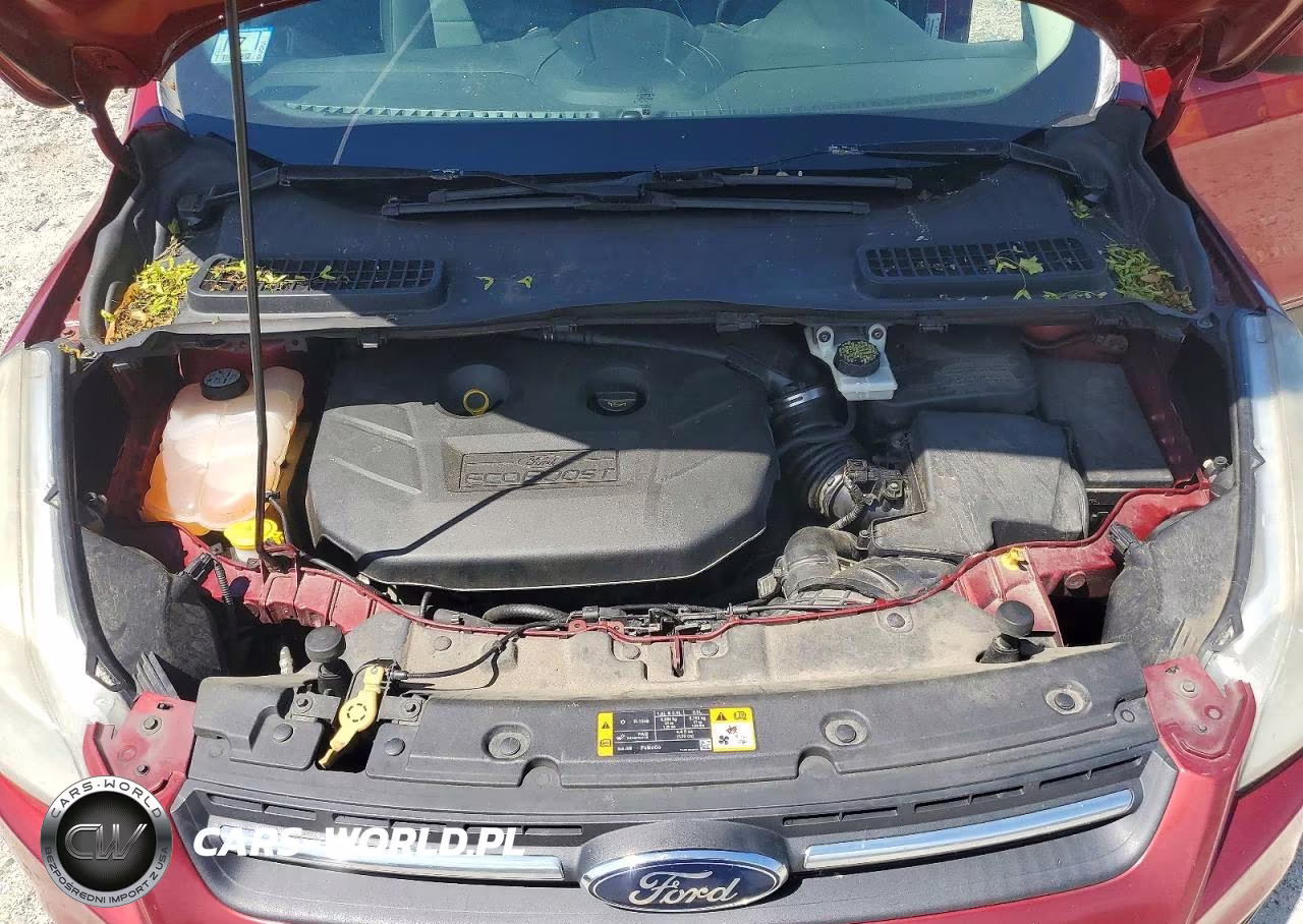 2013 Ford Escape Se VIN:1FMCU9G93DUB19746 - 12