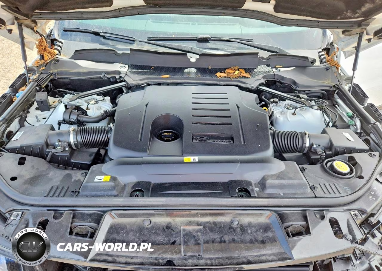 2020 Land Rover Range Rover Sport Hse VIN:SALWR2SU7LA725405 - 12