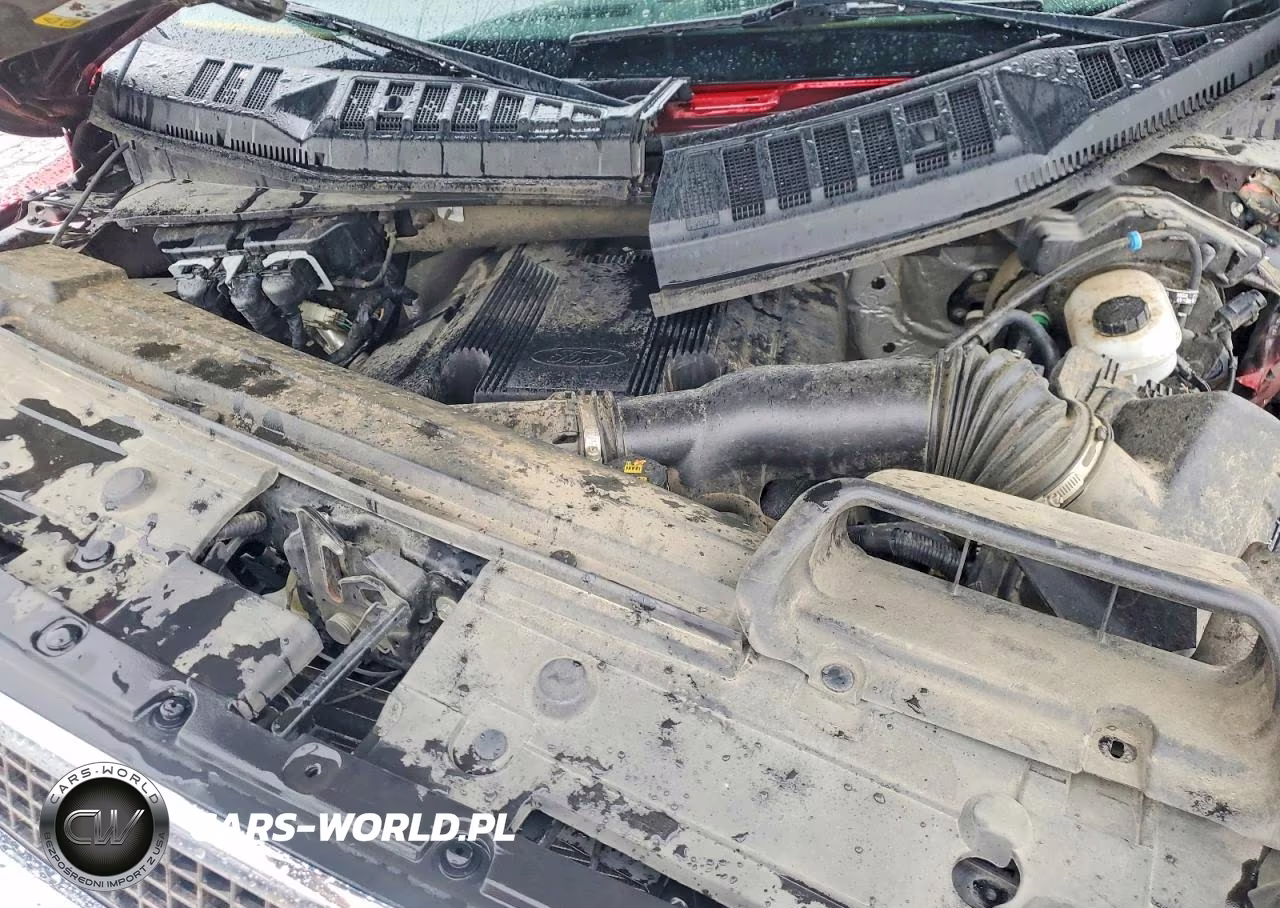 2020 Ford F150 Supercrew VIN:1FTEW1E49LFB05305 - 11