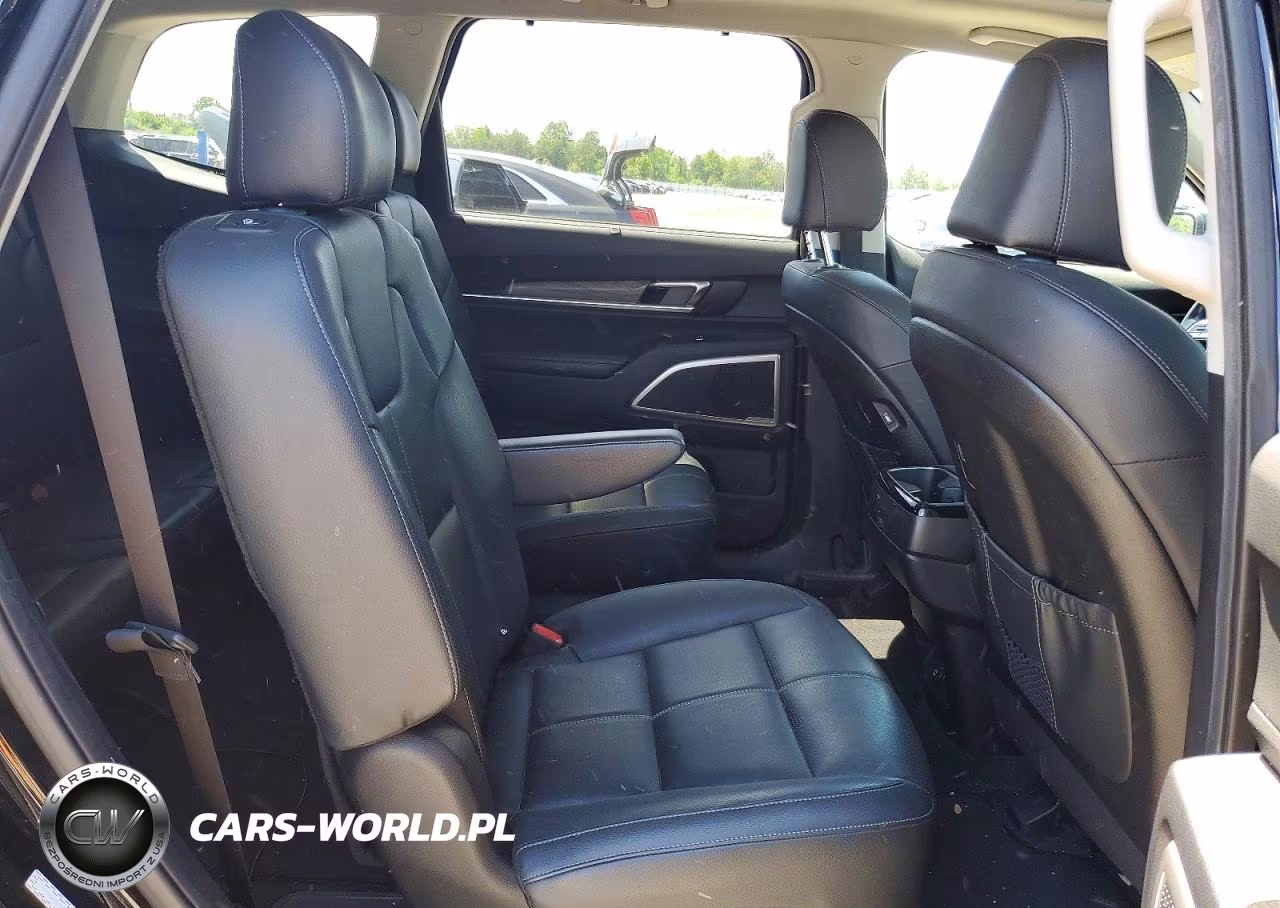 2022 Kia Telluride Ex VIN:5XYP3DHC7NG243849 - 11