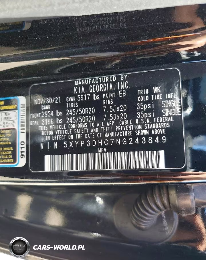 2022 Kia Telluride Ex VIN:5XYP3DHC7NG243849 - 13