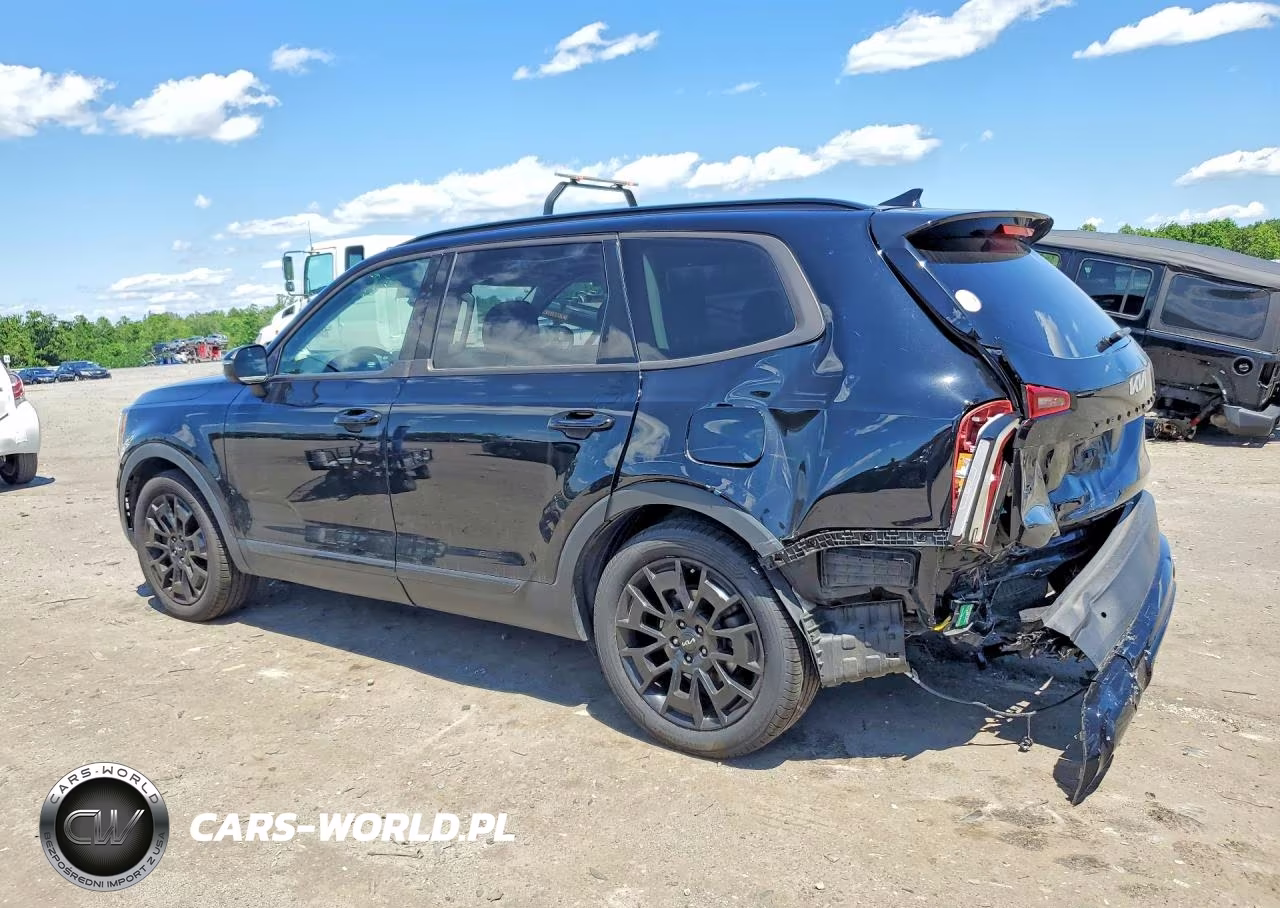 2022 Kia Telluride Ex VIN:5XYP3DHC7NG243849 - 2