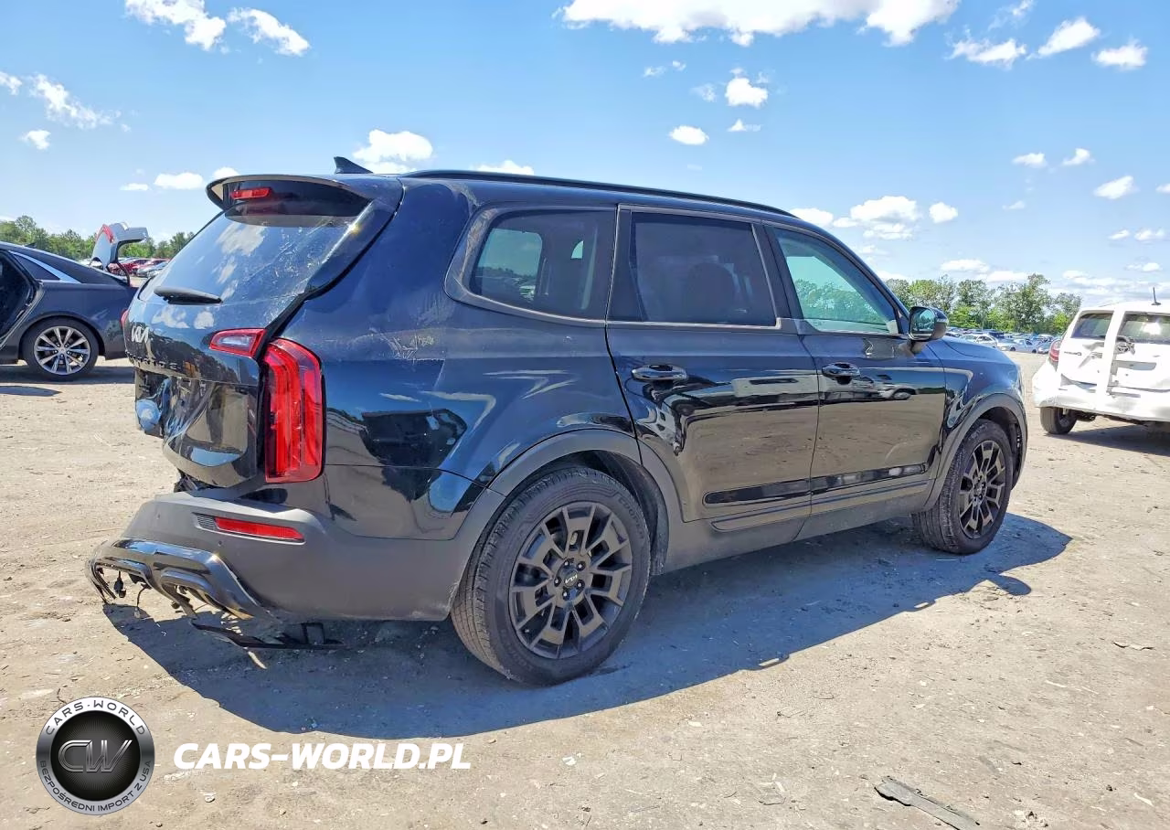 2022 Kia Telluride Ex VIN:5XYP3DHC7NG243849 - 3