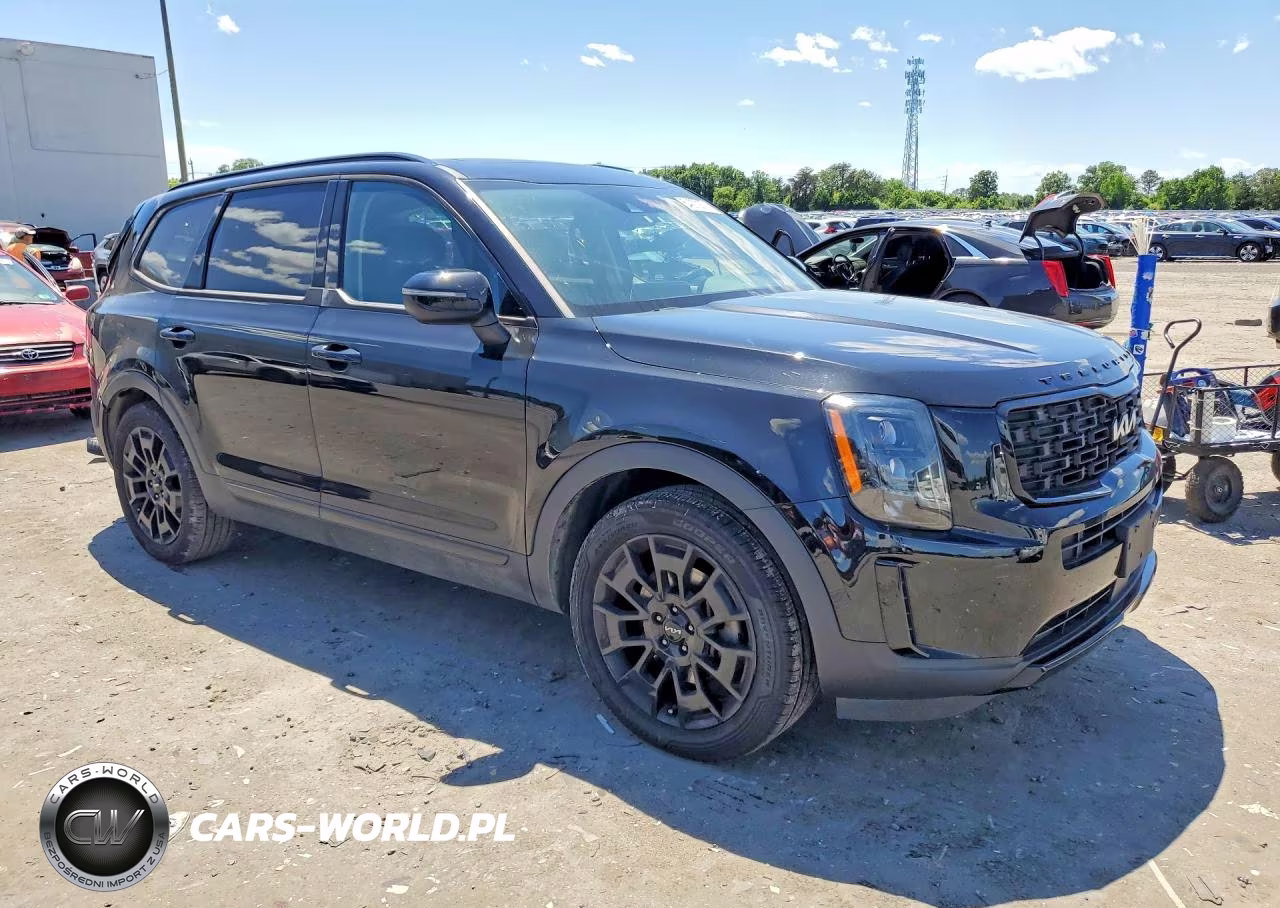 2022 Kia Telluride Ex VIN:5XYP3DHC7NG243849 - 4