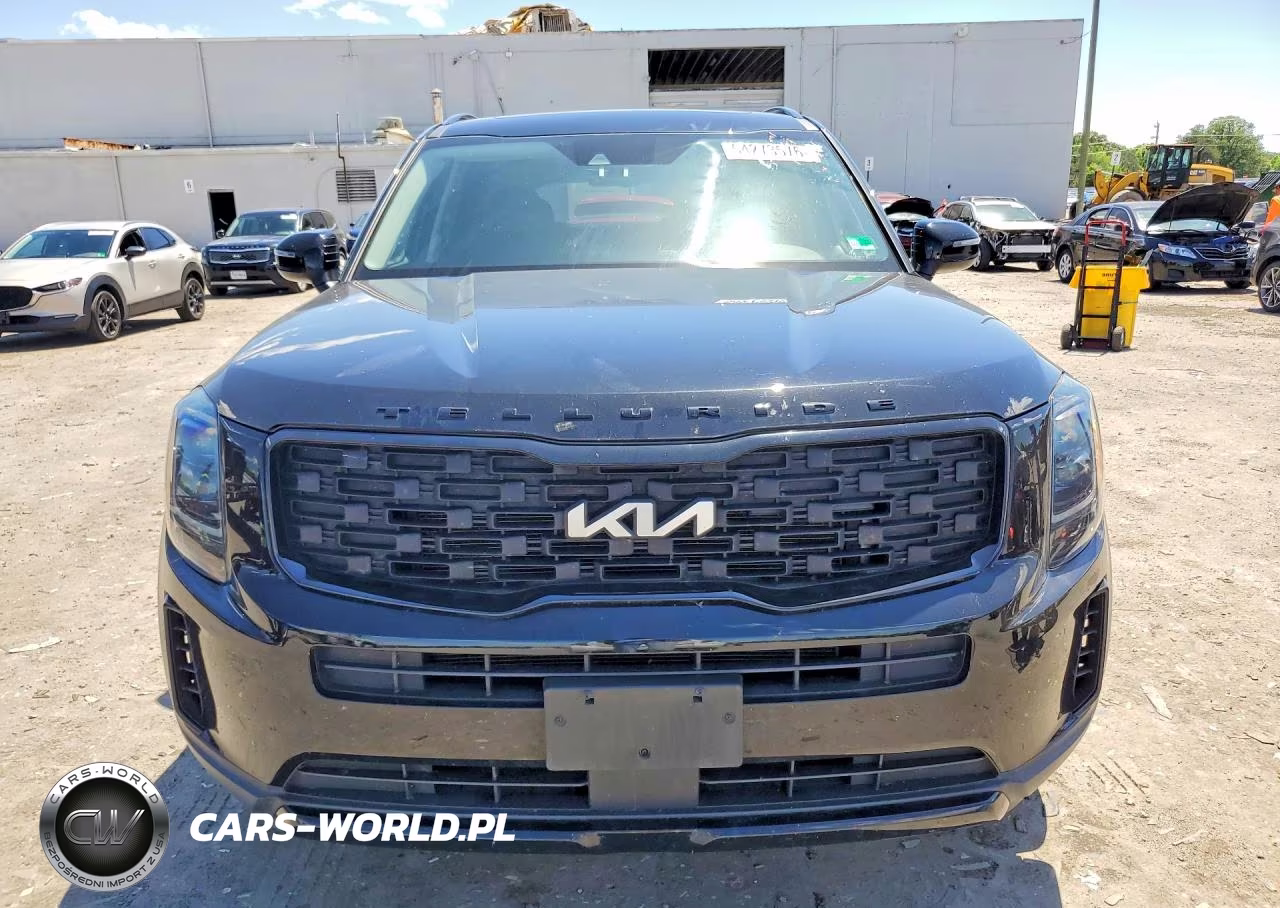 2022 Kia Telluride Ex VIN:5XYP3DHC7NG243849 - 5