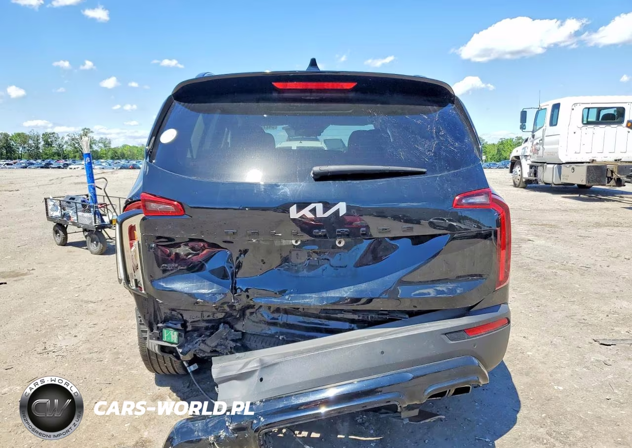 2022 Kia Telluride Ex VIN:5XYP3DHC7NG243849 - 6
