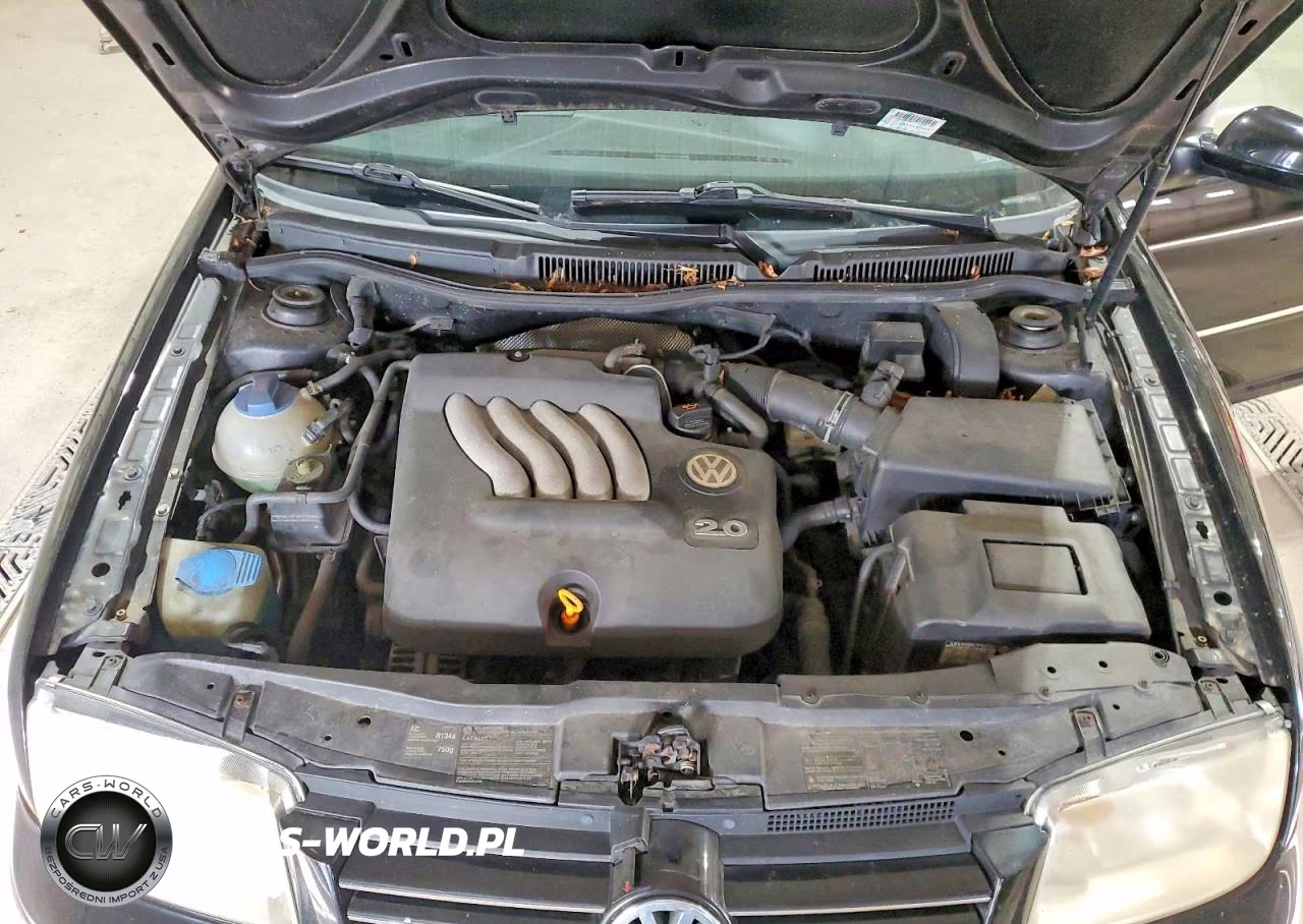 2004 Volkswagen Jetta Gl VIN:3VWRK69M14M051999 - 11