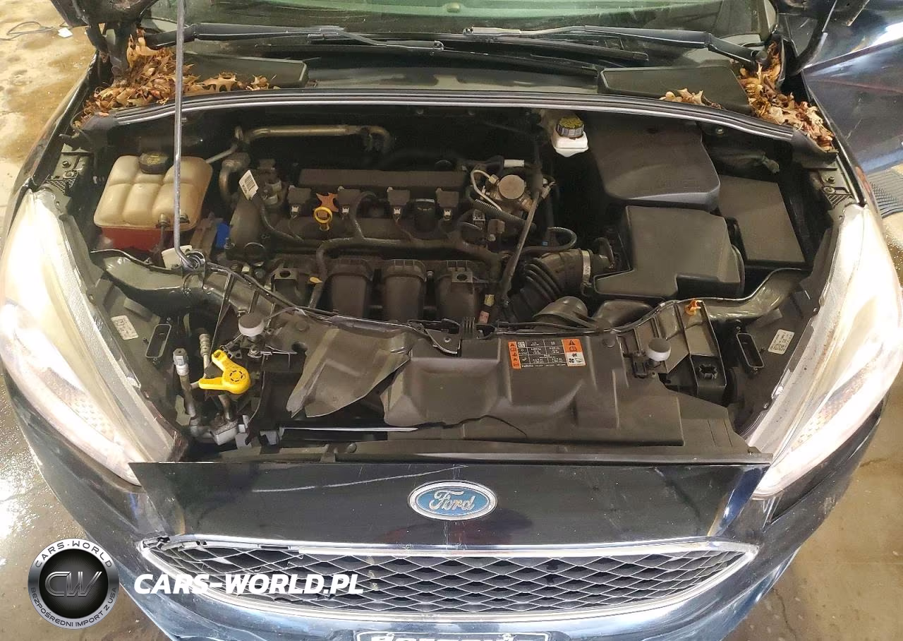 2017 Ford Focus Se VIN:1FADP3F28HL321789 - 11